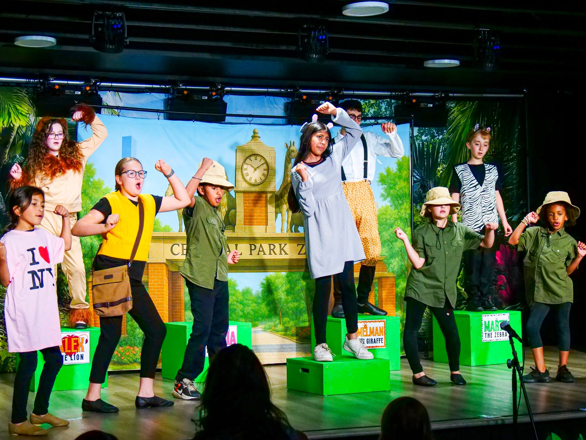 DBackdrop Custom Theater Backdrop CT1