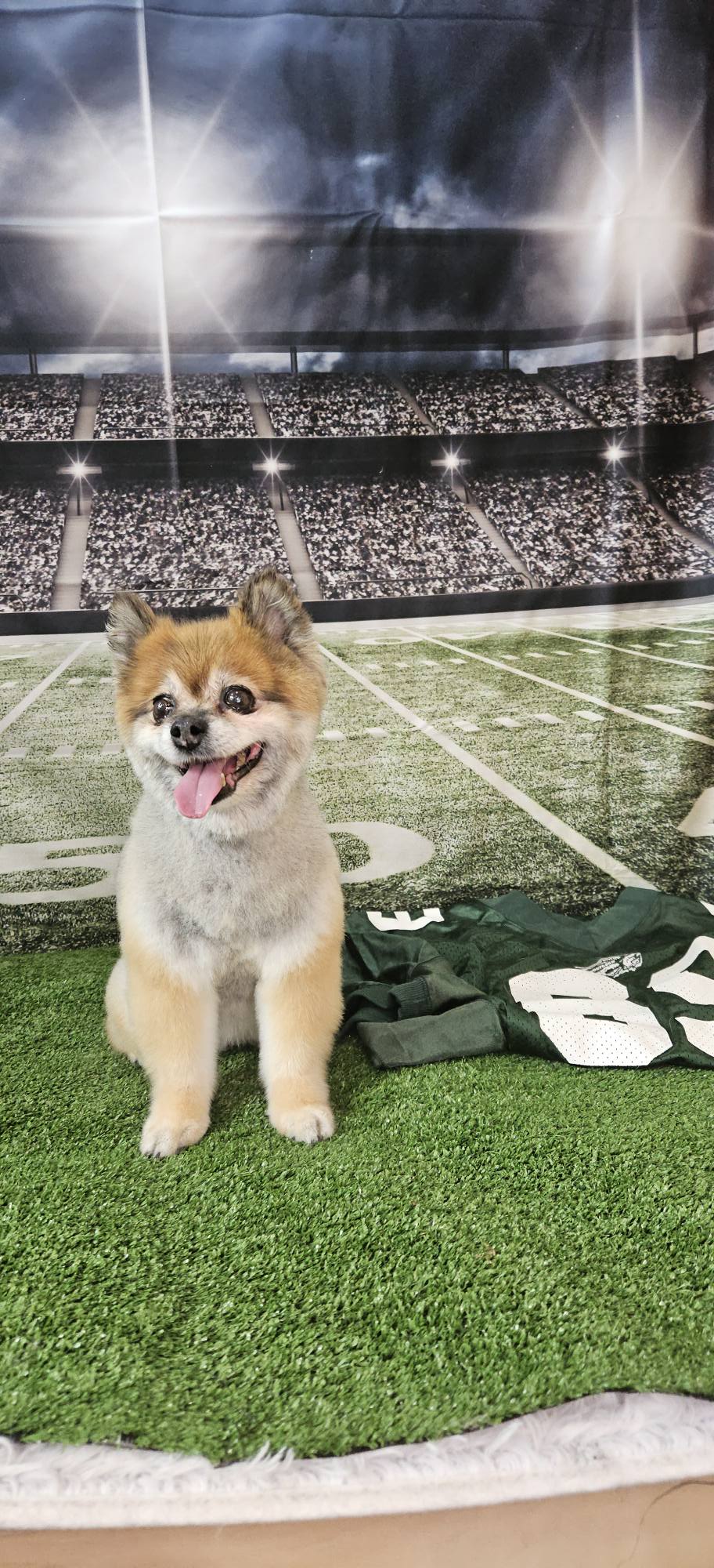 Football Field Night Stadium Photo Booth Backdrops G-261