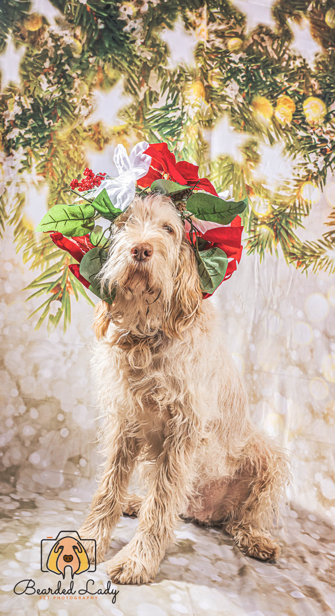 Bokeh Christams Tree Snowflake Stars Backdrop for Studio S-3180