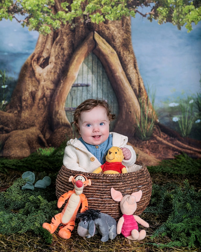 Forest Backdrop Enchanted Tree Trunk Door Newborn Photography Backdrop MRR9-72