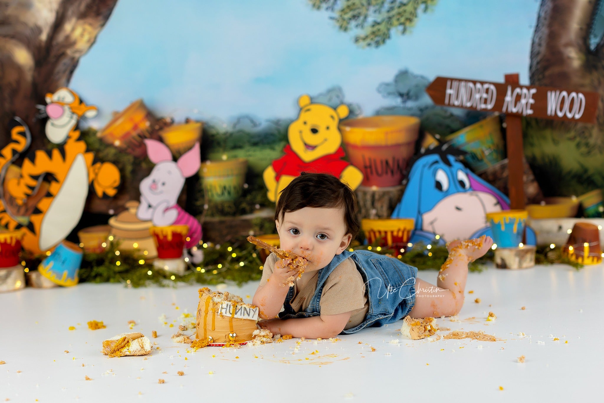 Newborn Cute Backdrop Honey Tree Buckets Backdrop Kids Backdrop MRR9-50