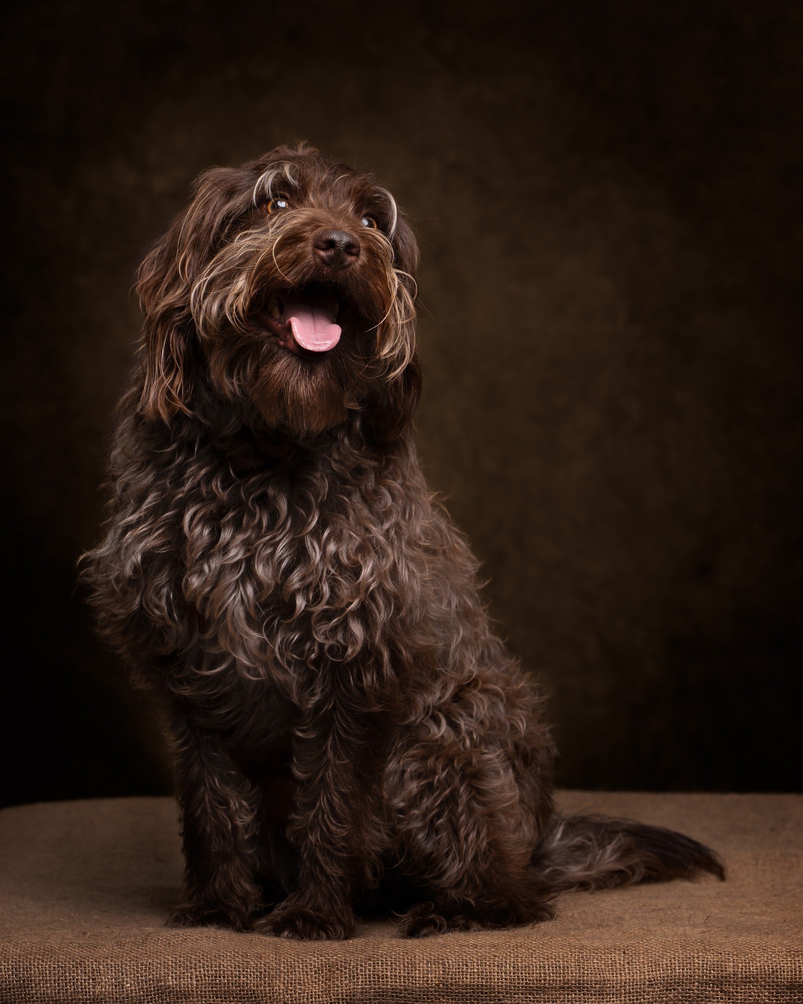 Vintage Brown Portrait Studio Abstract Backdrop M5-146