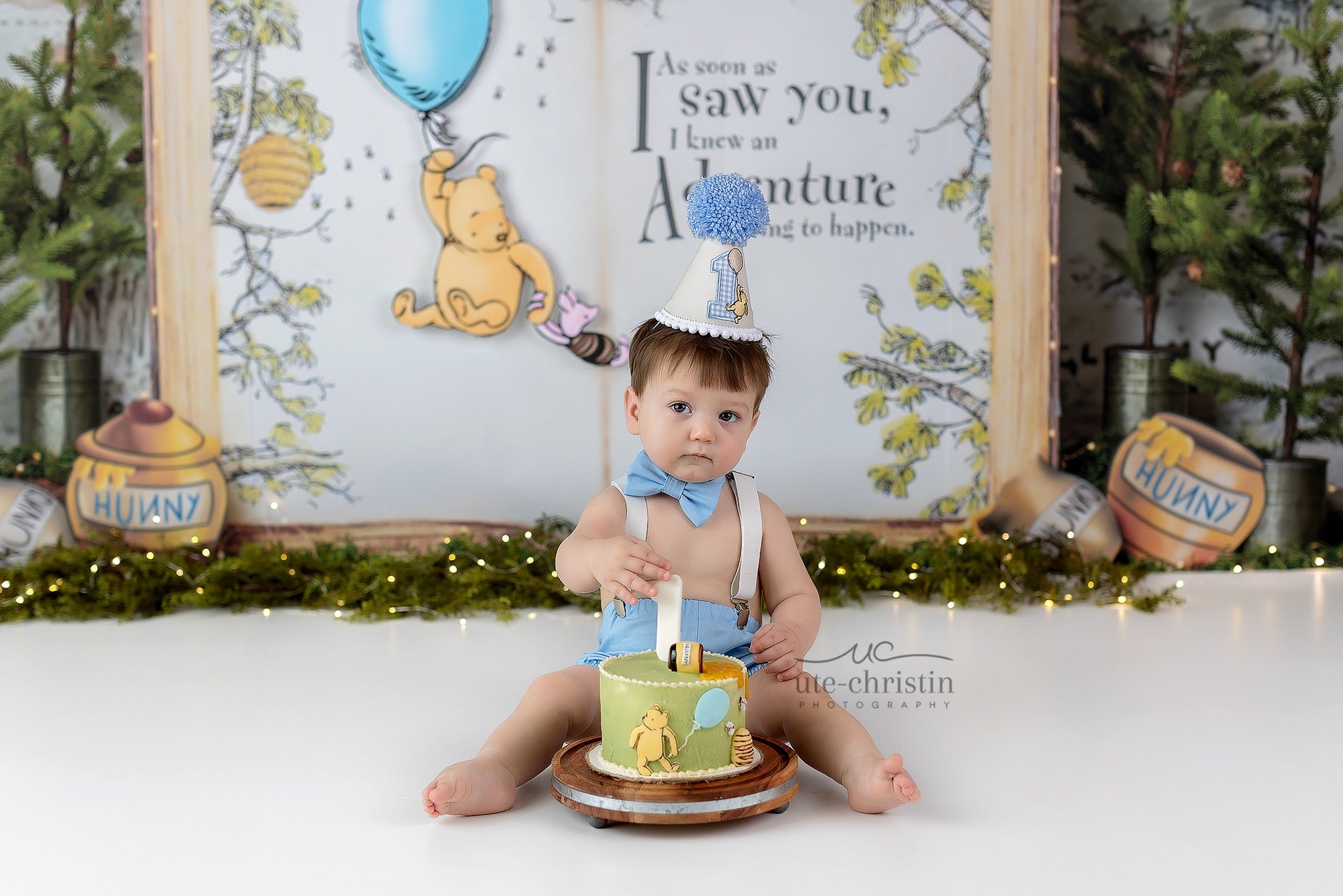 Cake Smash Backdrop Pooh Balloon Adventure Forest Quote 1st Birthday Backdrop MRR9-63