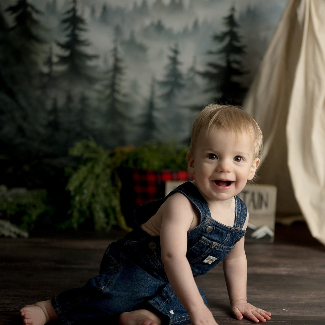 Forest Backdrop Forest Mountain Mist Layers Forest Photography Backdrop MRR9-74