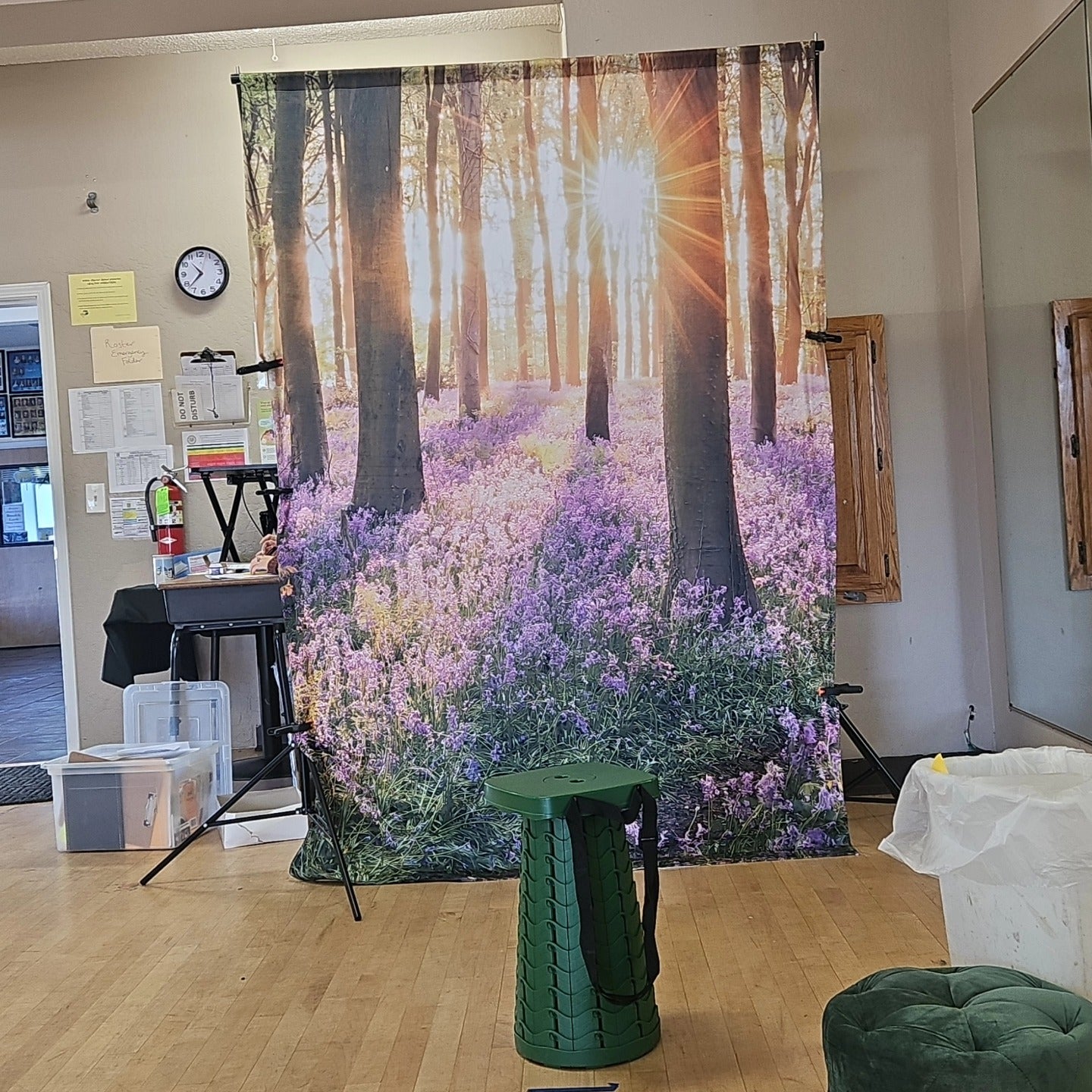 Forest Scenery Sunshine Purple Flowers for Studio Photo Shoot KAT- 71