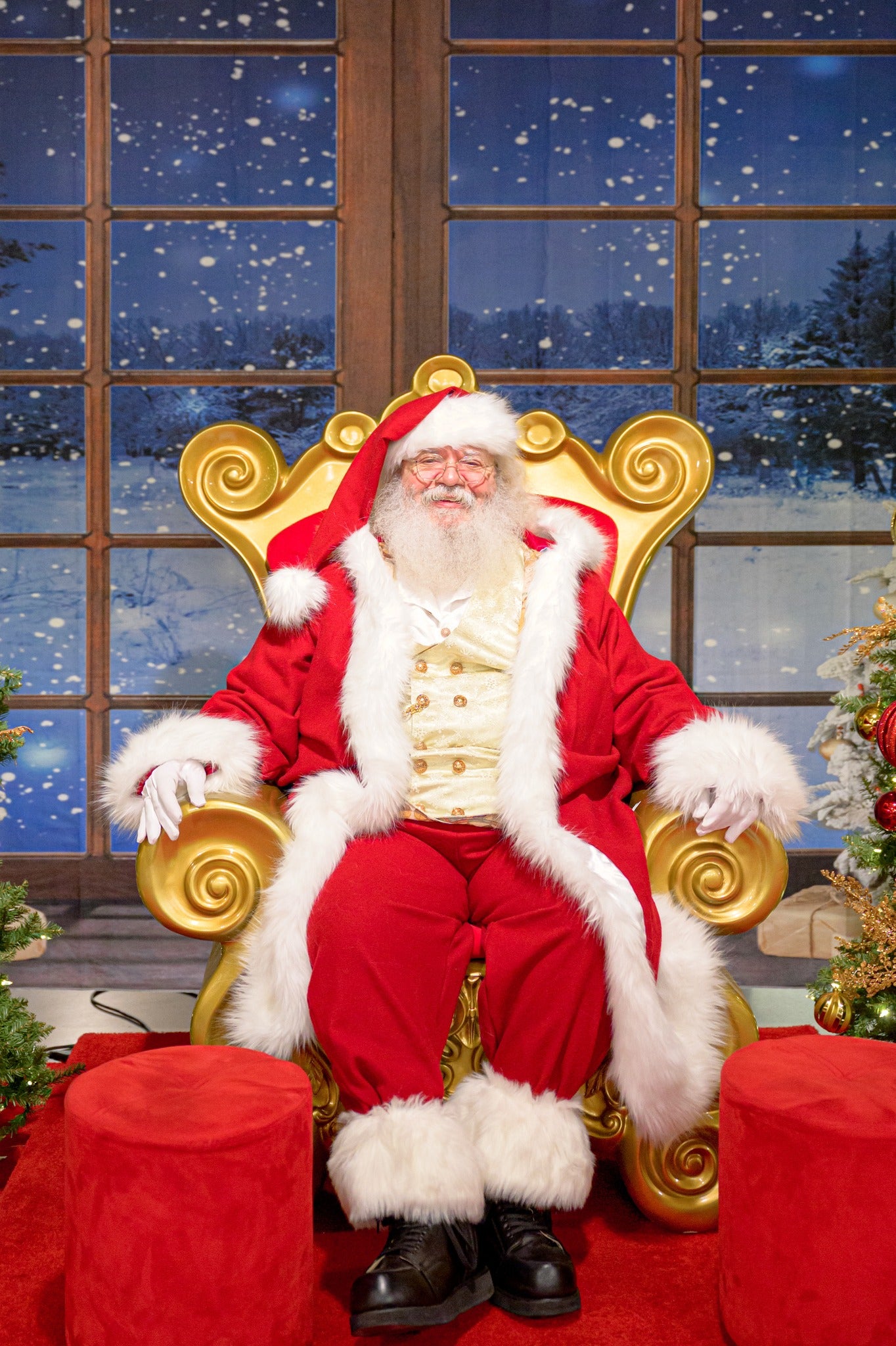 Christmas  Winter Snow Window Backdrop for Photography D814