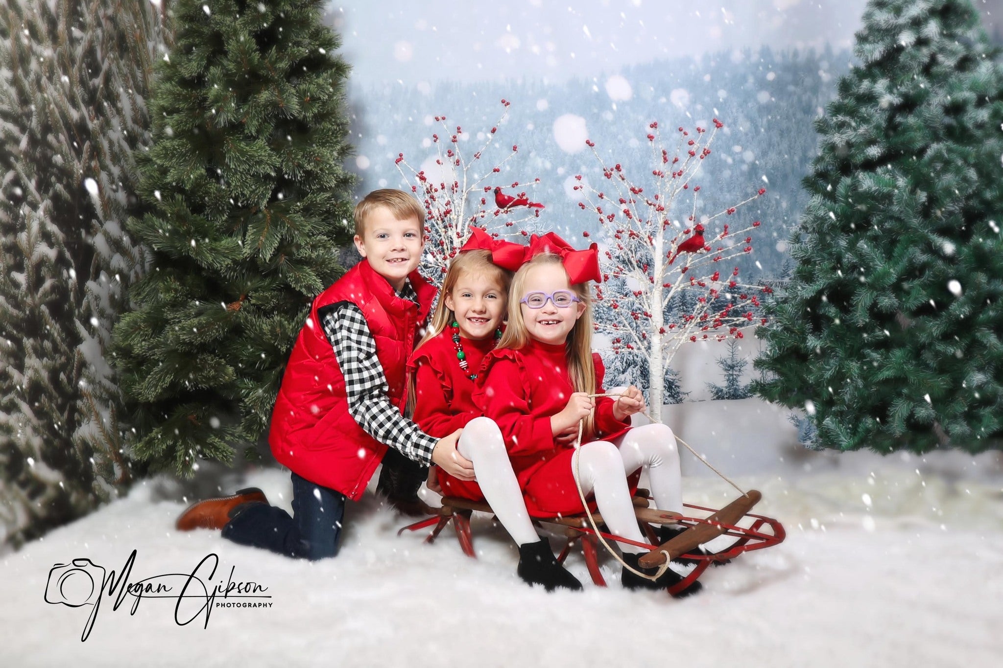 Winter Snow Christmas Tree Backdrops for Christmas GX-1074