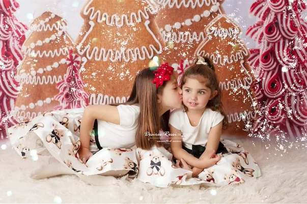 Christmas Gingerbread Forest Photography Backdrop D913