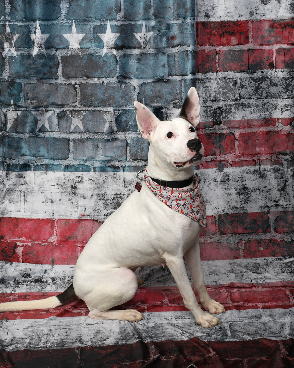 American Flag Independence Day Brick Wall Backdrop M-21