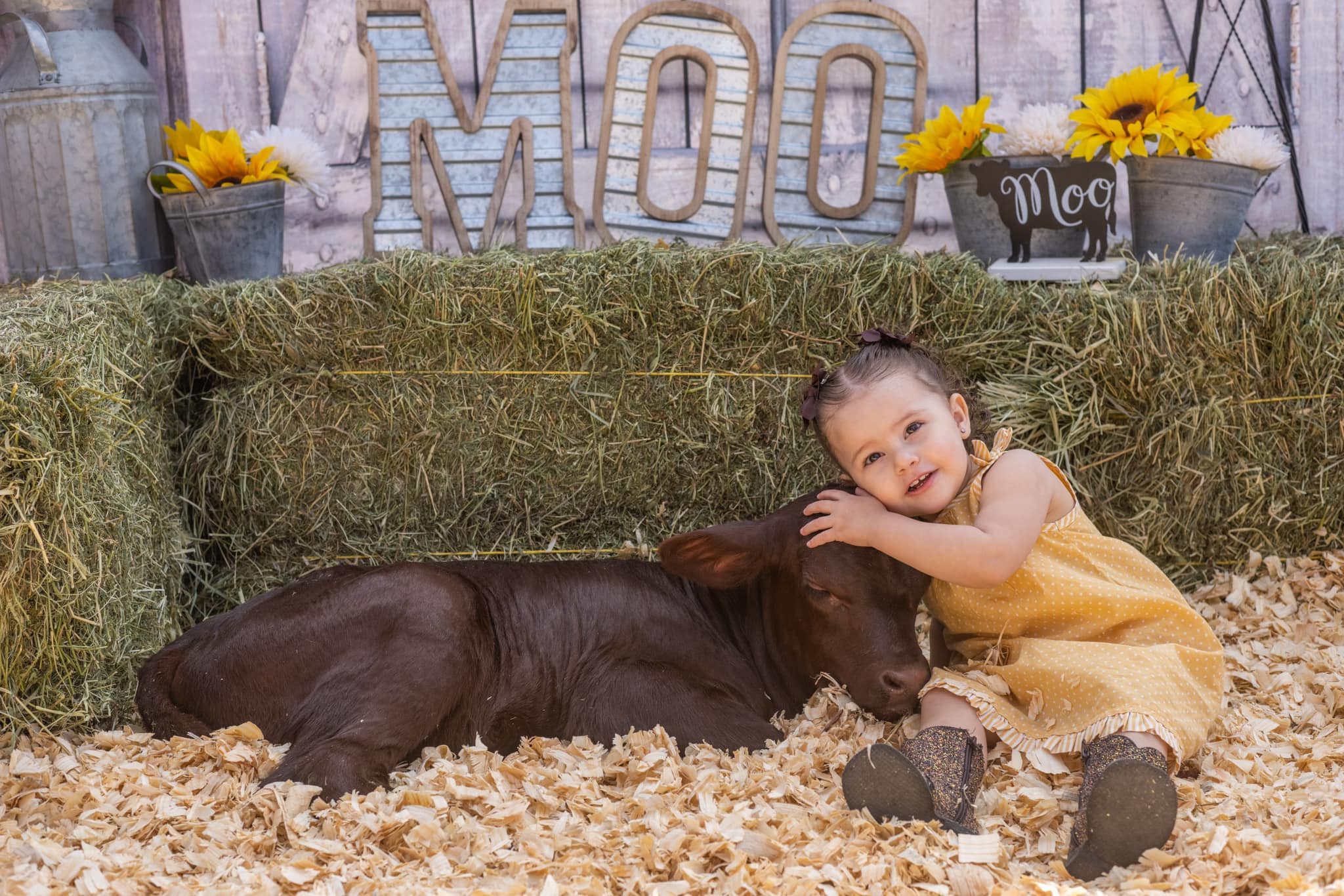 Retro Wooden Barn Door Backdrop for Photo Booth GA-69