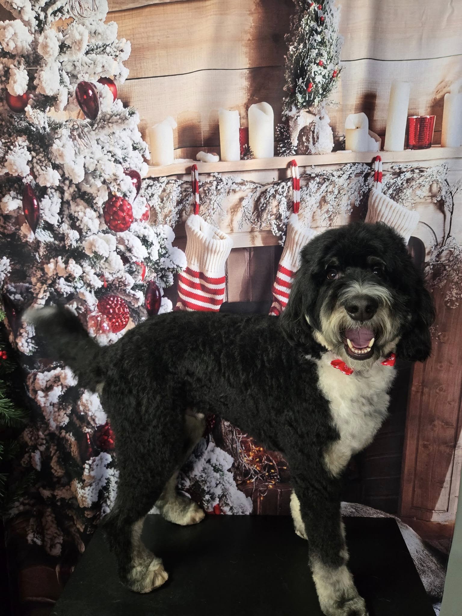 Christmas Tree Fireplace Decoration Backdrop For Photo Shoot KAT-63