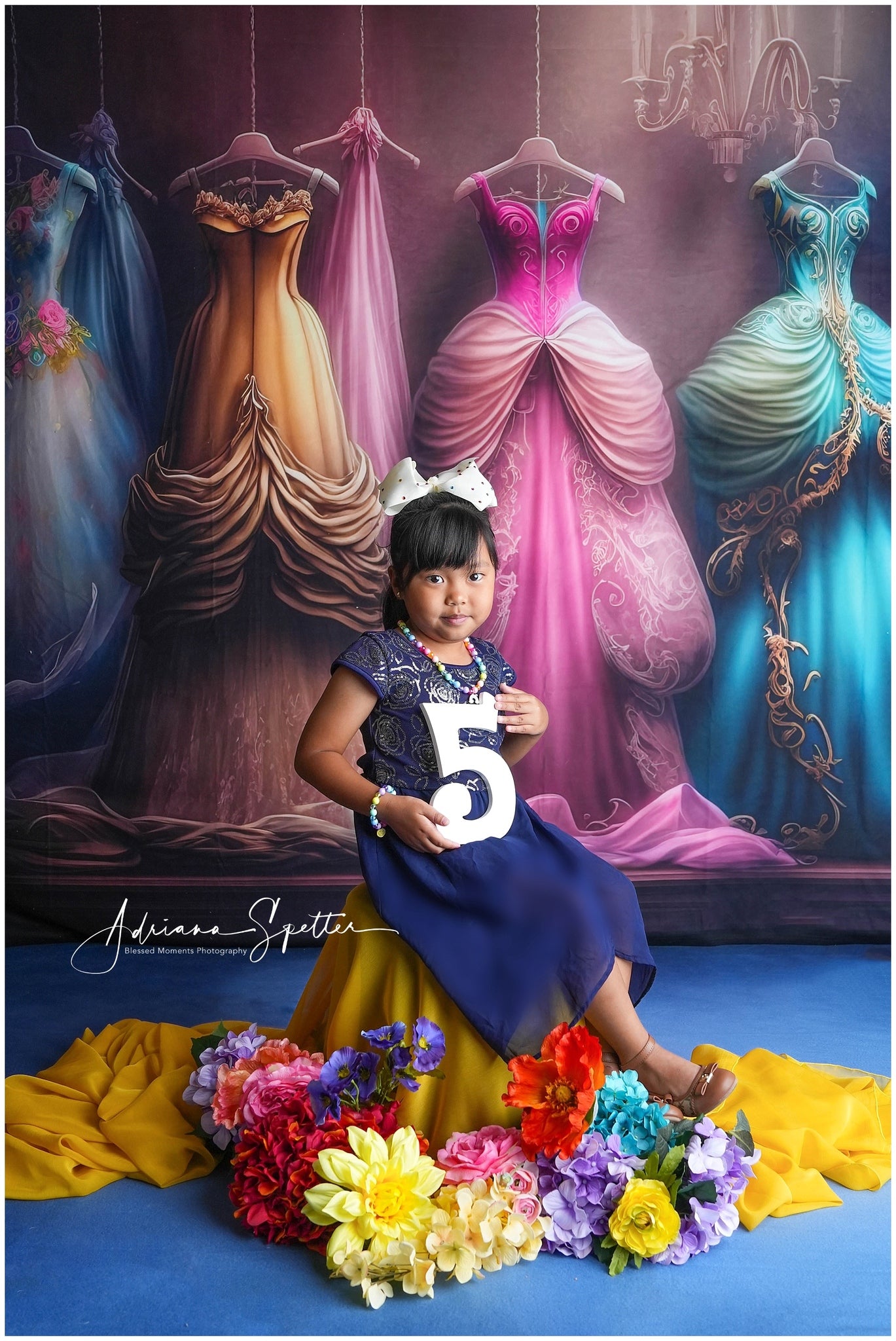 Vintage Backdrop Princess Dresses Elegant Closet Retro Backdrop MRR10-58