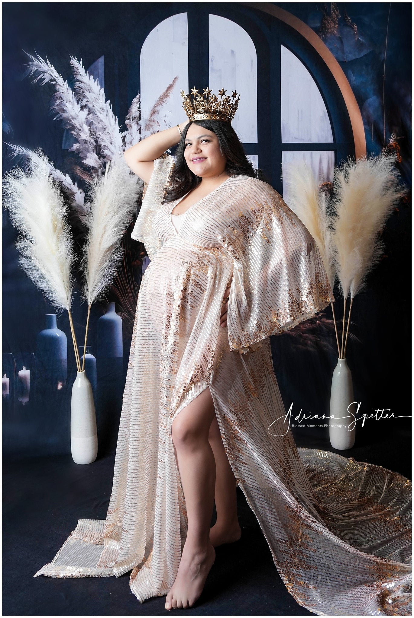 Boho Backdrop Dark Window Pampas Grass Bohemian Backdrop MRR10-53