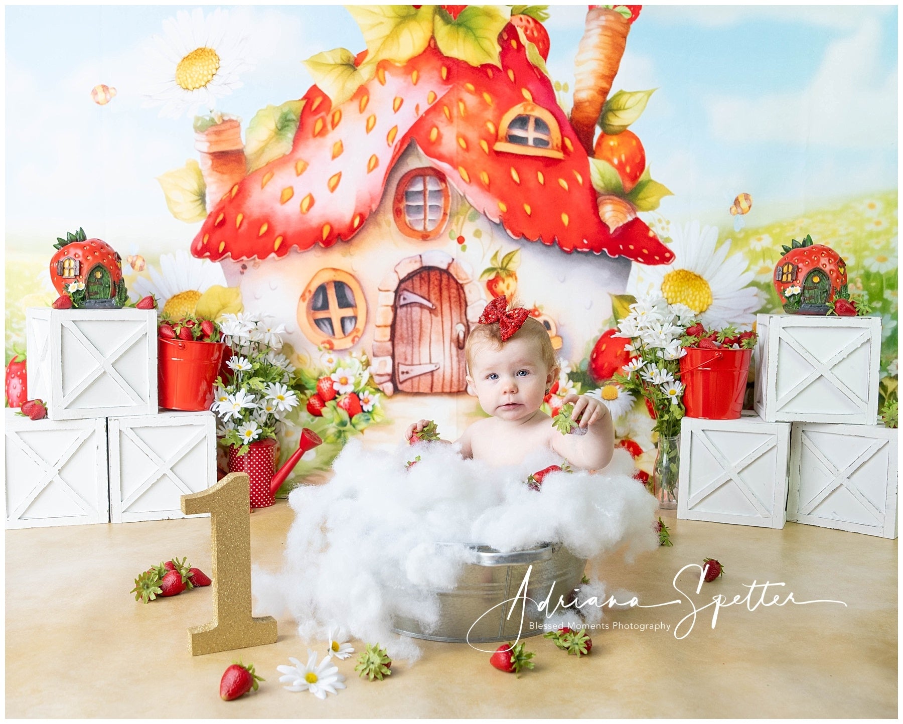 Children Backdrops Strawberry House Flowers Newborn Backdrop MRR10-28