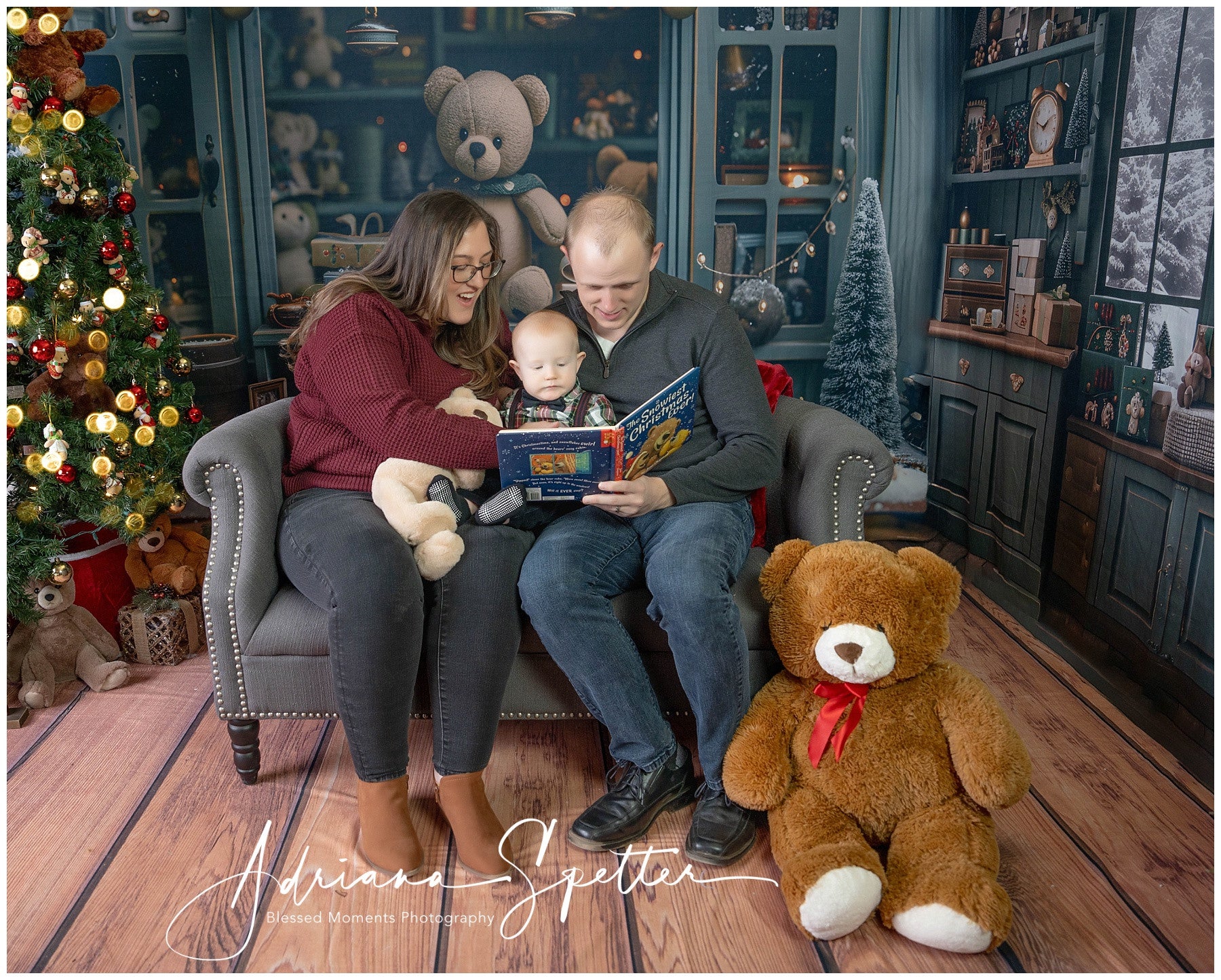 Christmas Photo Backdrop Teddy Bear Holiday Window Display Christmas Backdrops MRR9-130