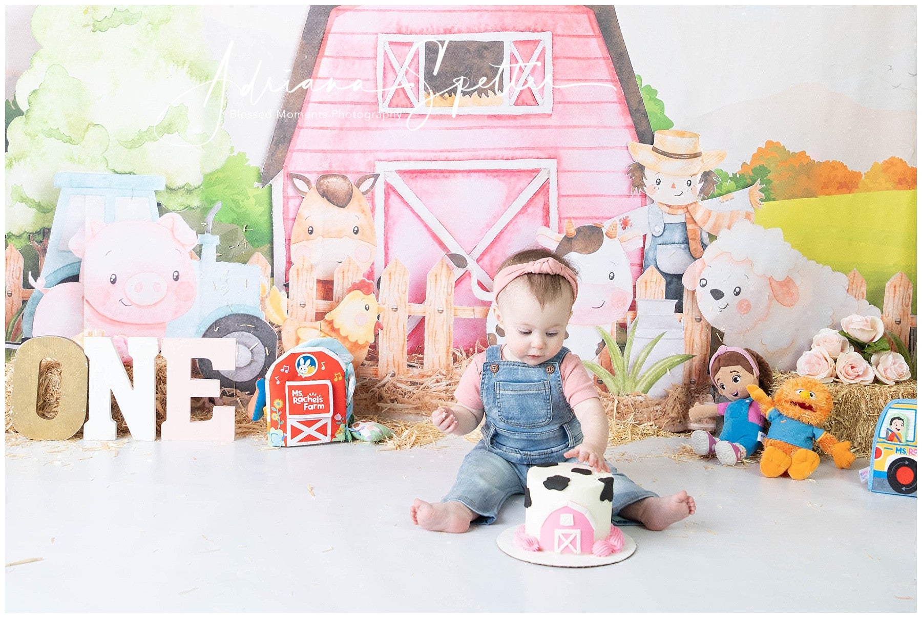Kids Photo Backdrop Cartoon Farm Animals Barn Newborn Backdrop MRR9-125