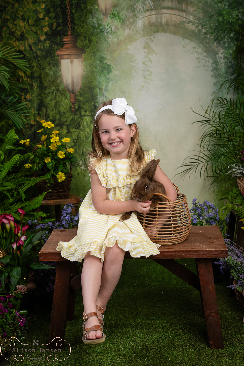 Enchanted Forest Backdrop Magical Misty Arch Lanterns Forest Backdrop MRR9-94