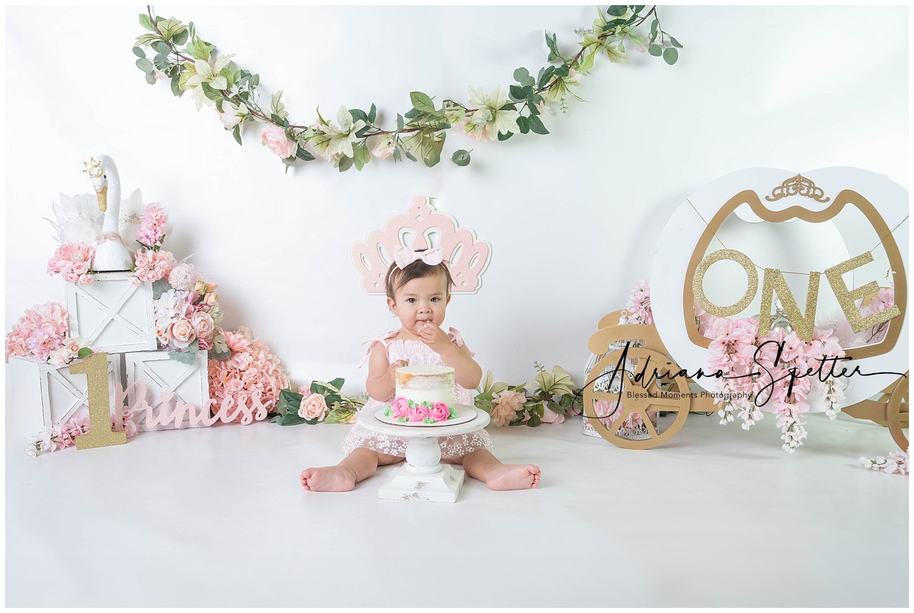 Cake Smash Backdrop Princess Swan Carriage 1st Birthday Backdrop MRR9-119
