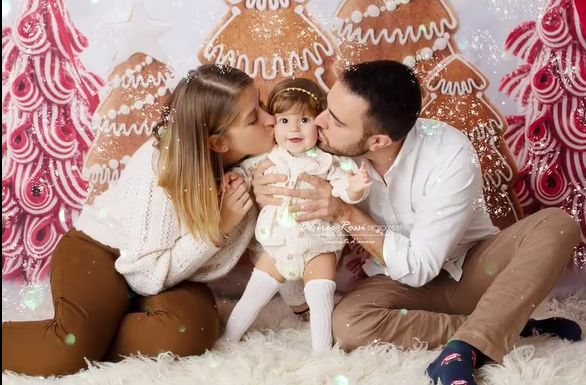 Christmas Gingerbread Forest Photography Backdrop D913