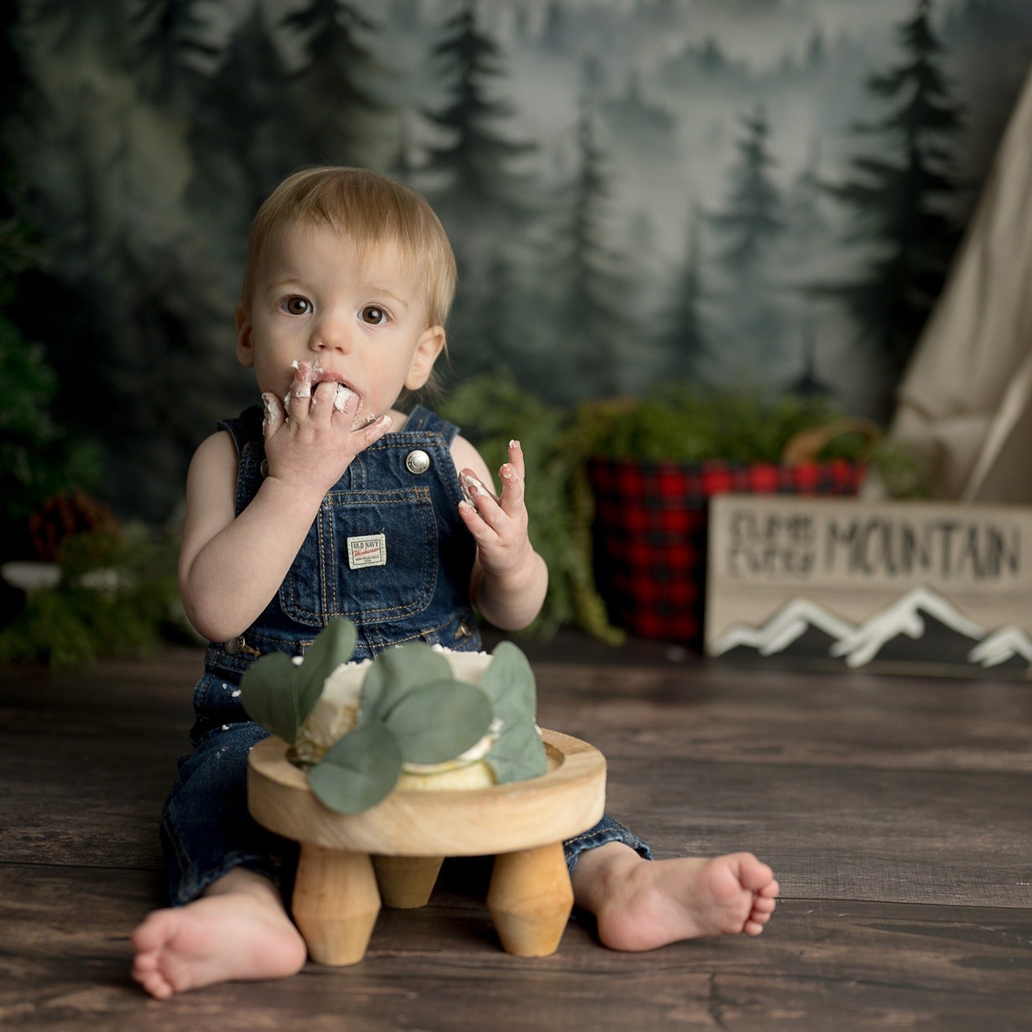 Forest Backdrop Forest Mountain Mist Layers Forest Photography Backdrop MRR9-74