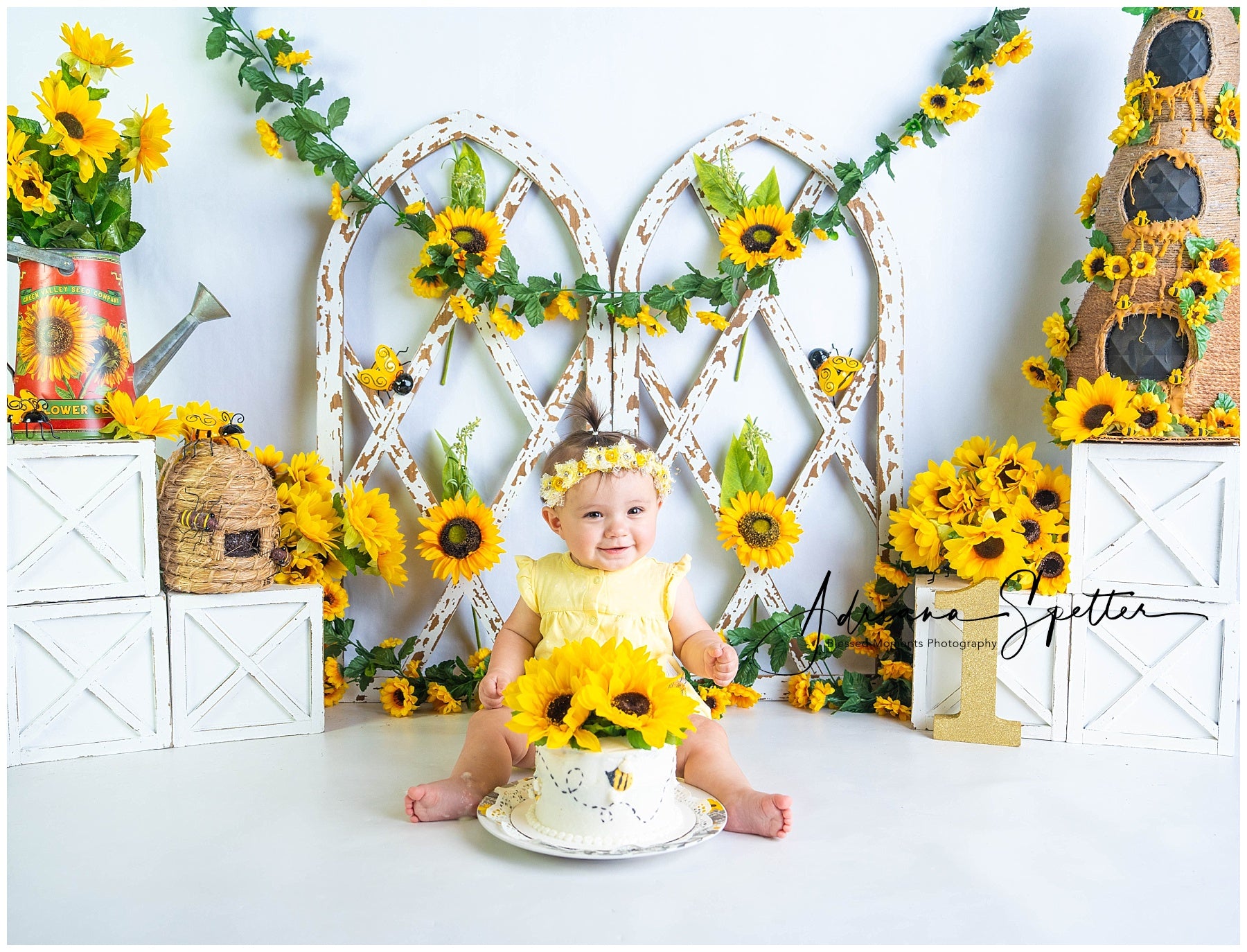 Children Backdrops Rustic Sunflower Garden Newborn Photo Backdrop MRR9-112