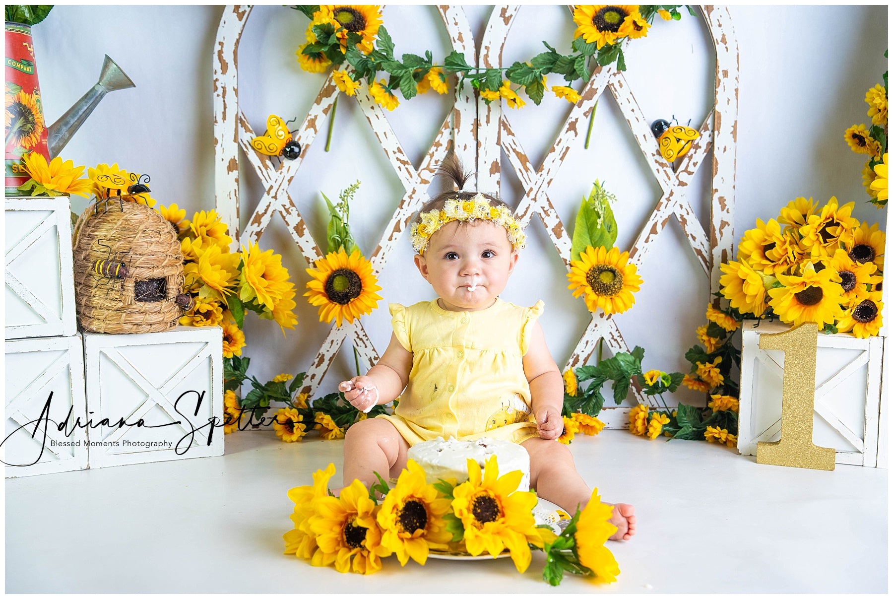 Children Backdrops Rustic Sunflower Garden Newborn Photo Backdrop MRR9-112