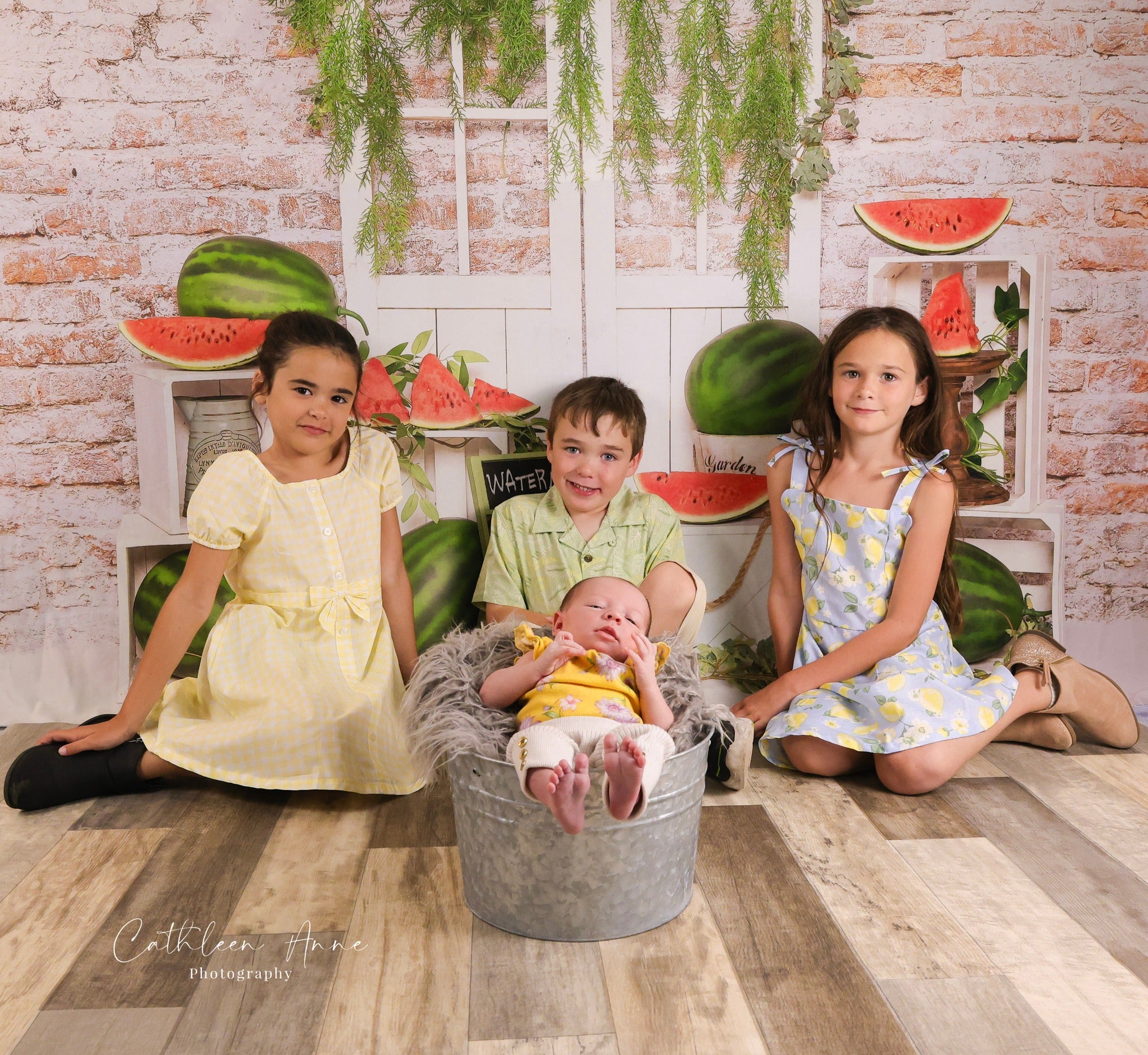 Watermelon Backdrop Brick Wall Wood Door Display Summer Backdrop MRR9-80