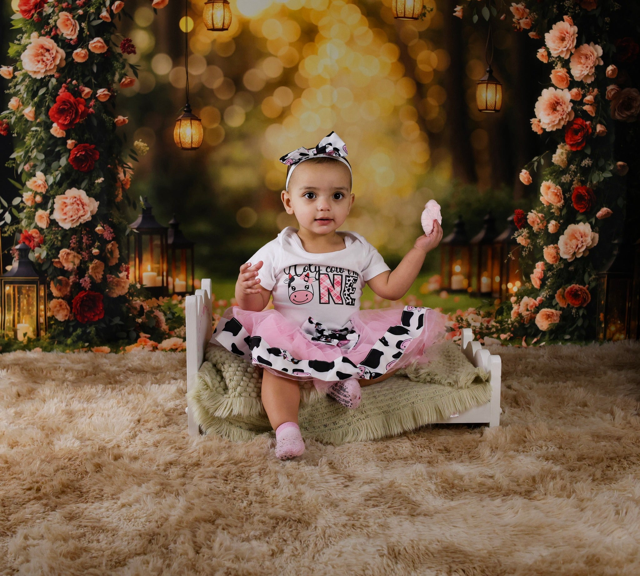 Flower Backdrop Romantic Rose Arch Lanterns Floral Photo Backdrop MRR9-81