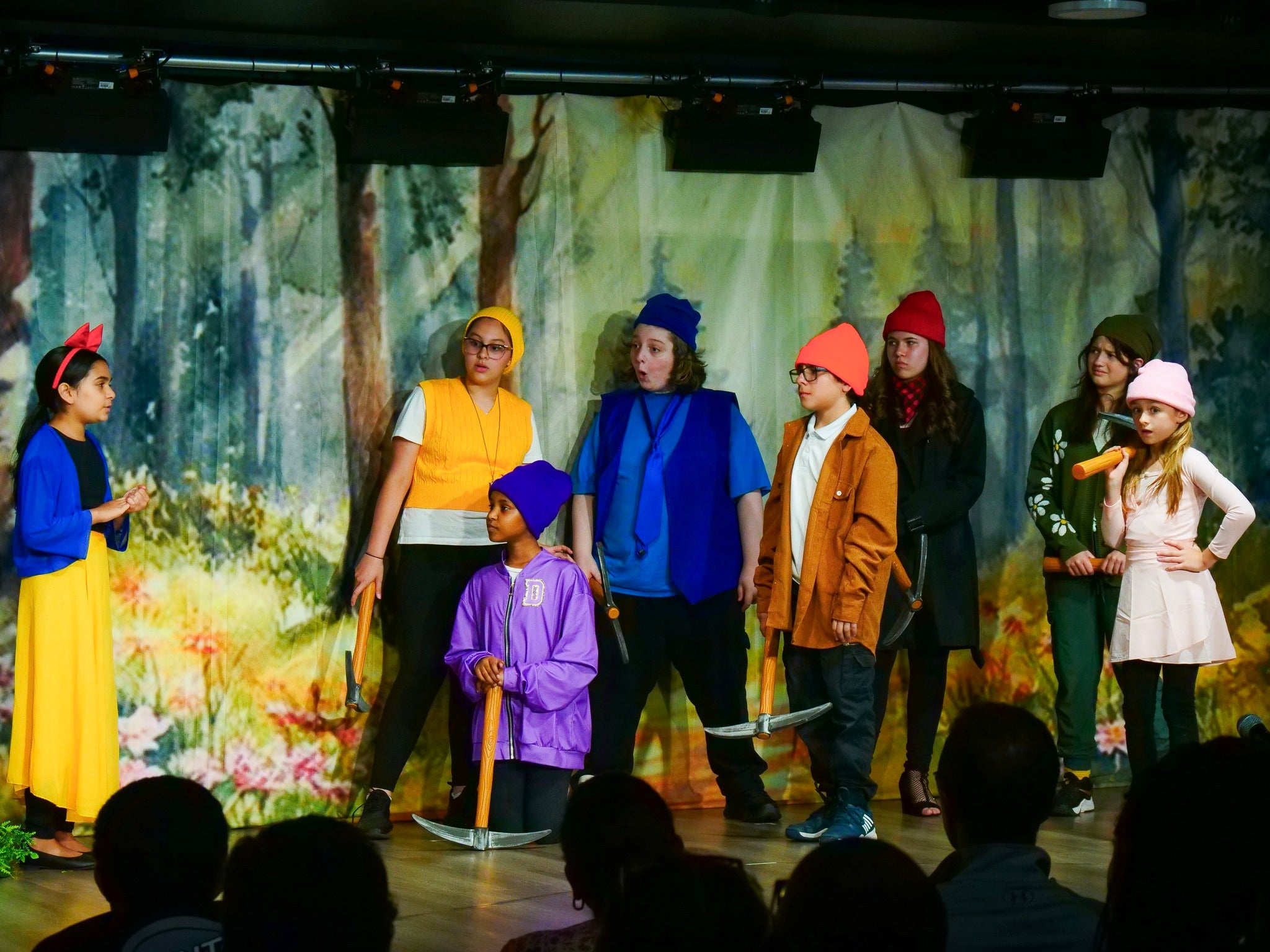 DBackdrop Custom Theater Backdrop CT1