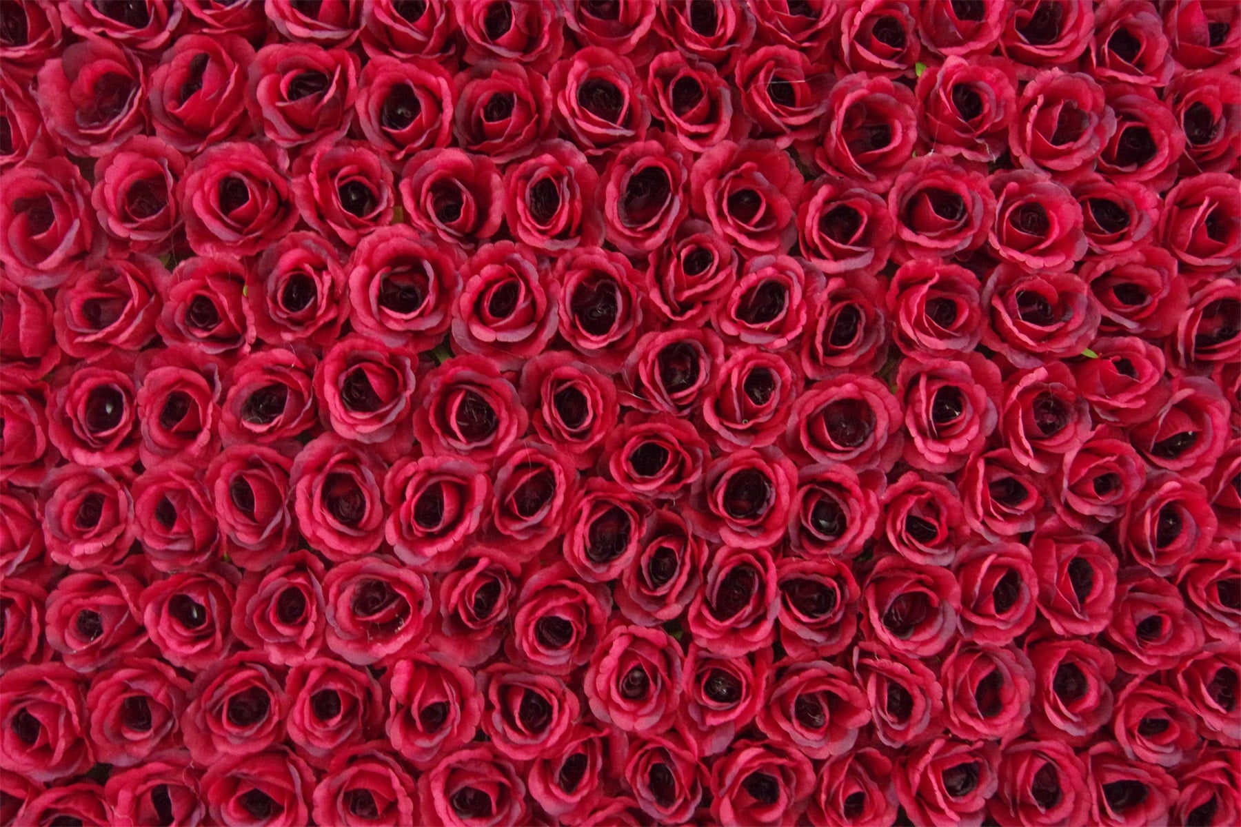 Custom Red Rose 3D Roll Up Artificial Flower Wall Backdrop AAFW-118
