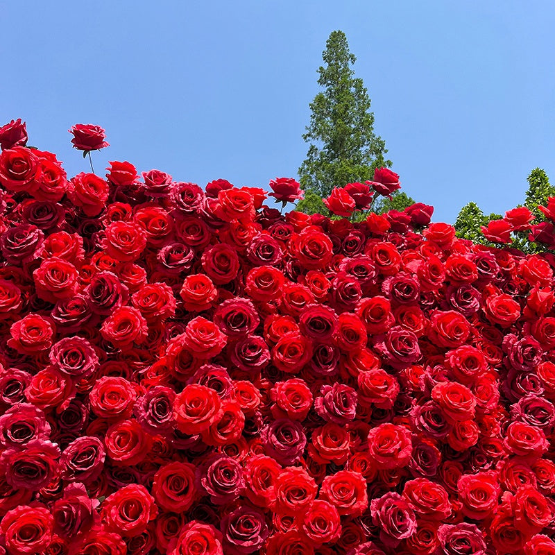Hot Full Red Rose Fabric Flower Wall For Wedding Arrangement ABFW-001