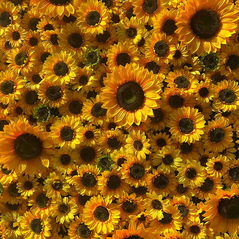 Summer Sunflower Floral Wall Backdrop For Event Party Decor ABFW-090