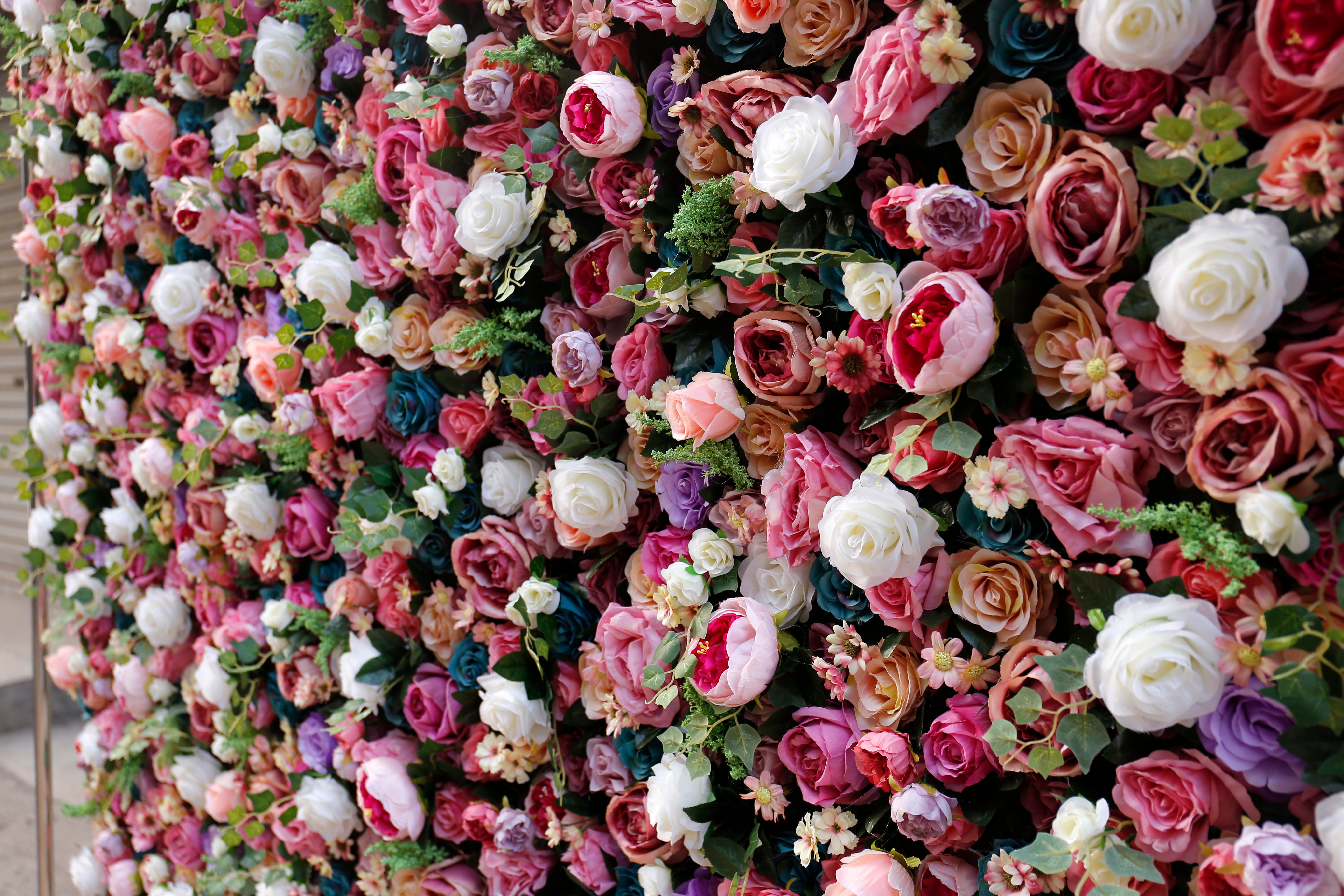 High-Density Mixed Color Artificial Rose Roll Up Flower Wall ACFW-006