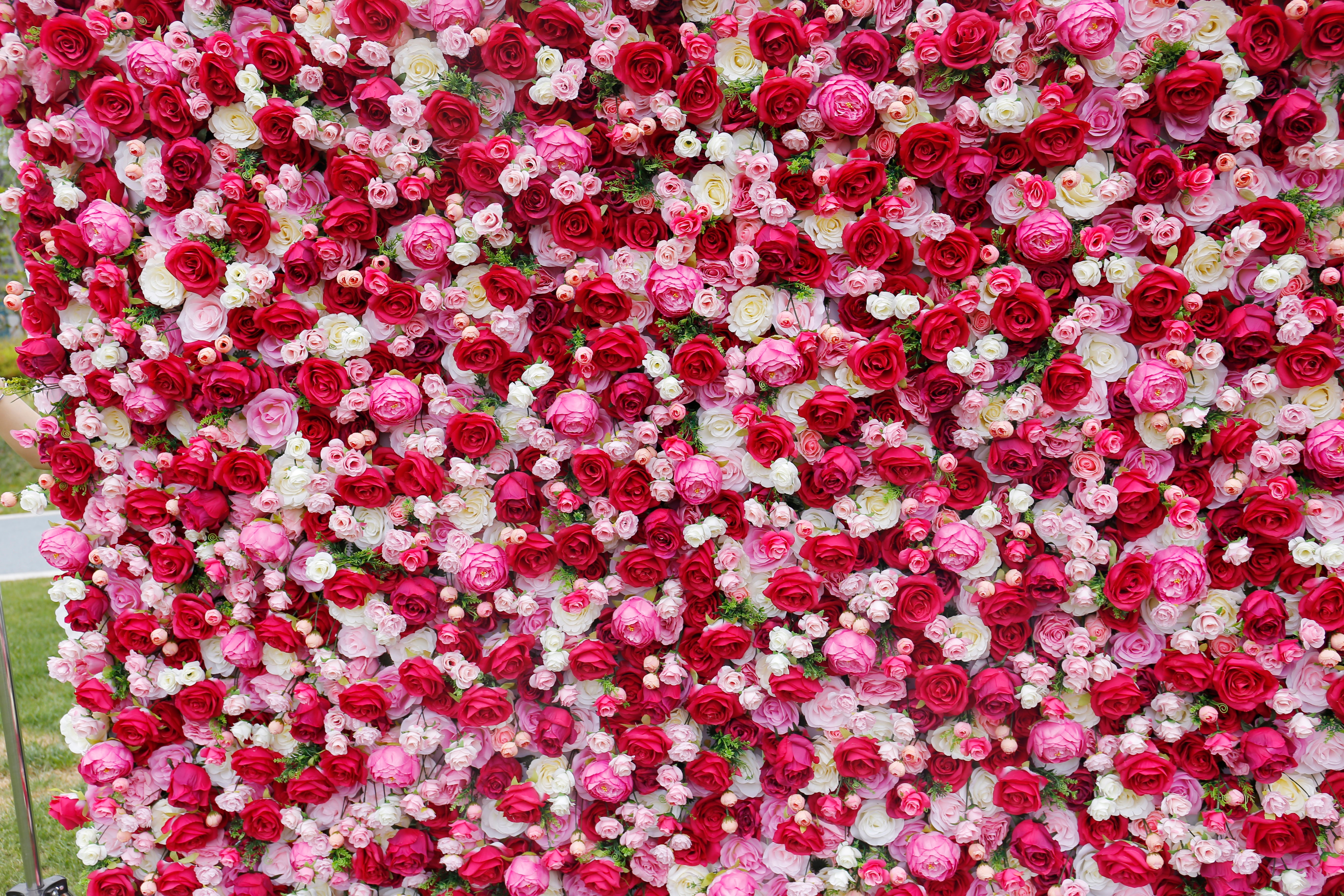 5D Artificial Red Pink White Rose Roll Up Curtain Flower Wall ACFW-016