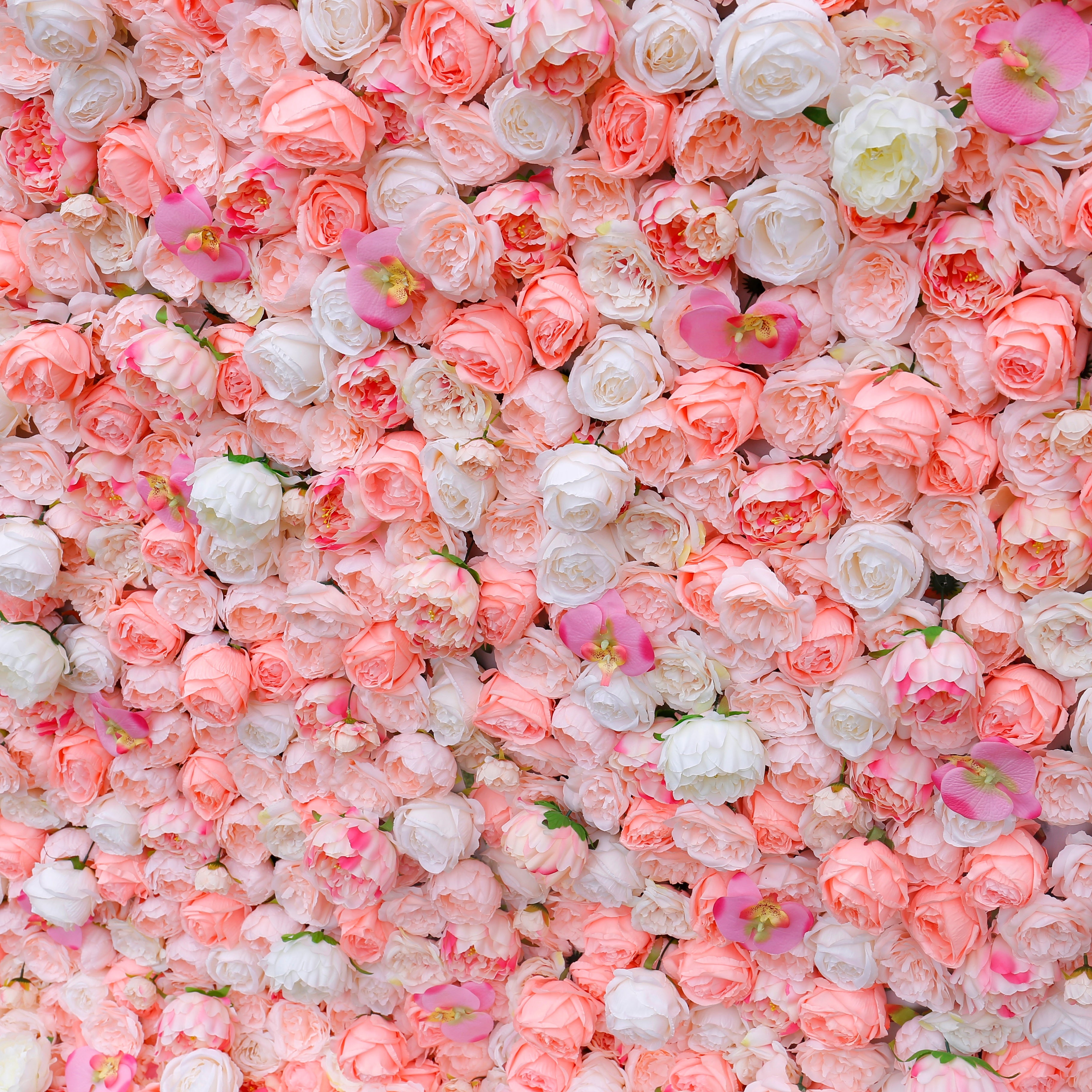 5D Silk Pink White Roses Roll Up Artificial Flower Wall Backdrop ACFW-019