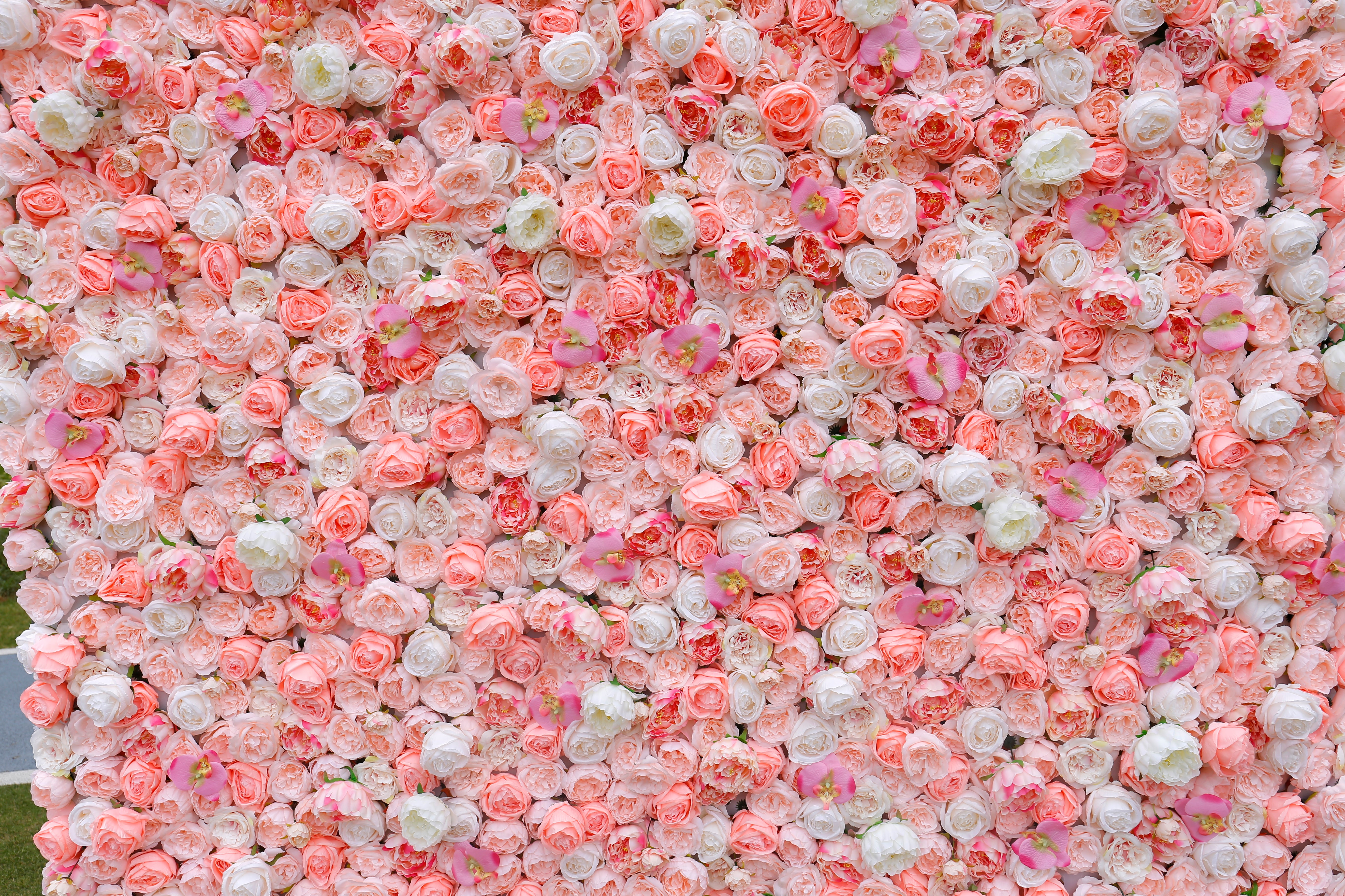 5D Silk Pink White Roses Roll Up Artificial Flower Wall Backdrop ACFW-019