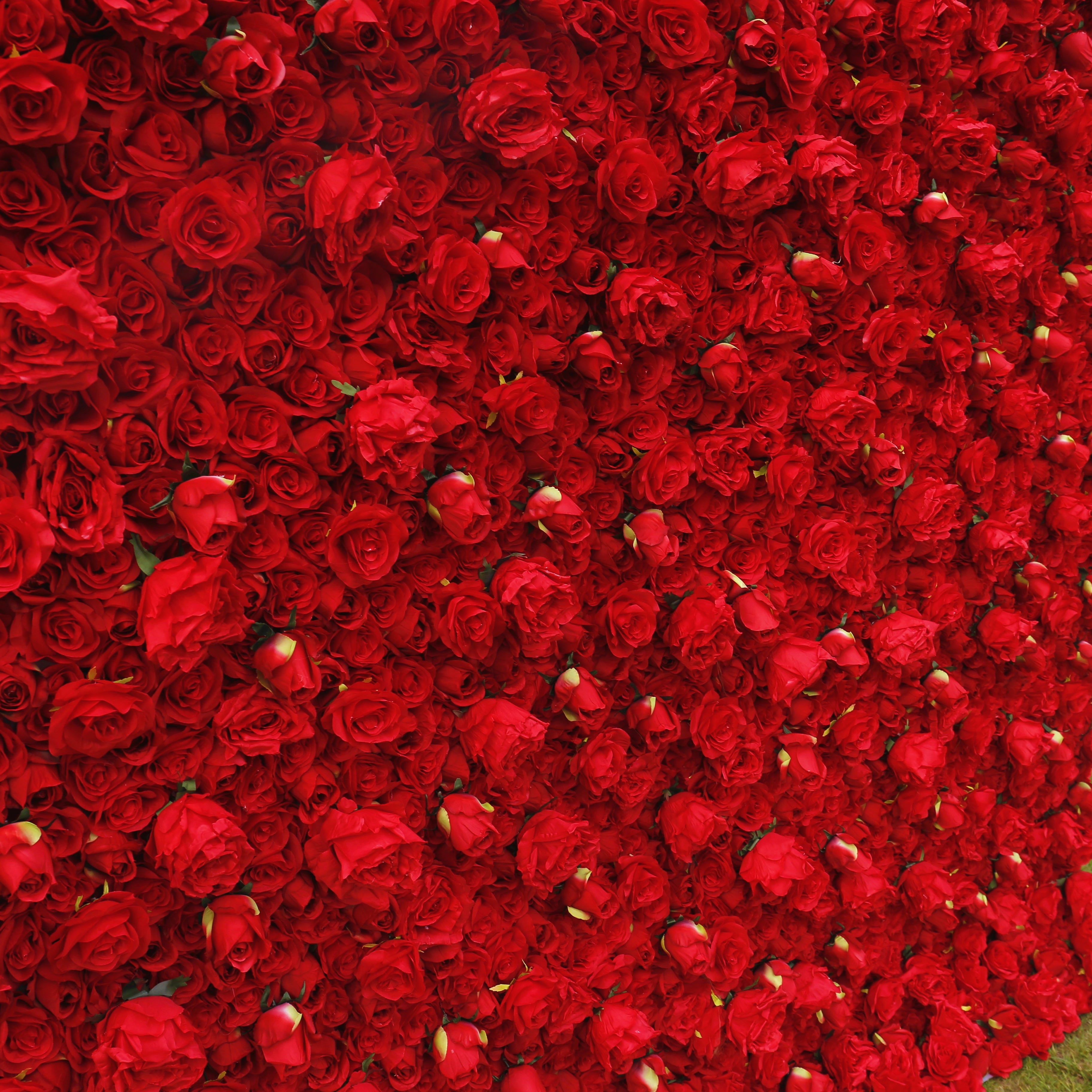 Red Roses Fabric Wedding Arrangement Roll Up Flower Wall ACFW-041