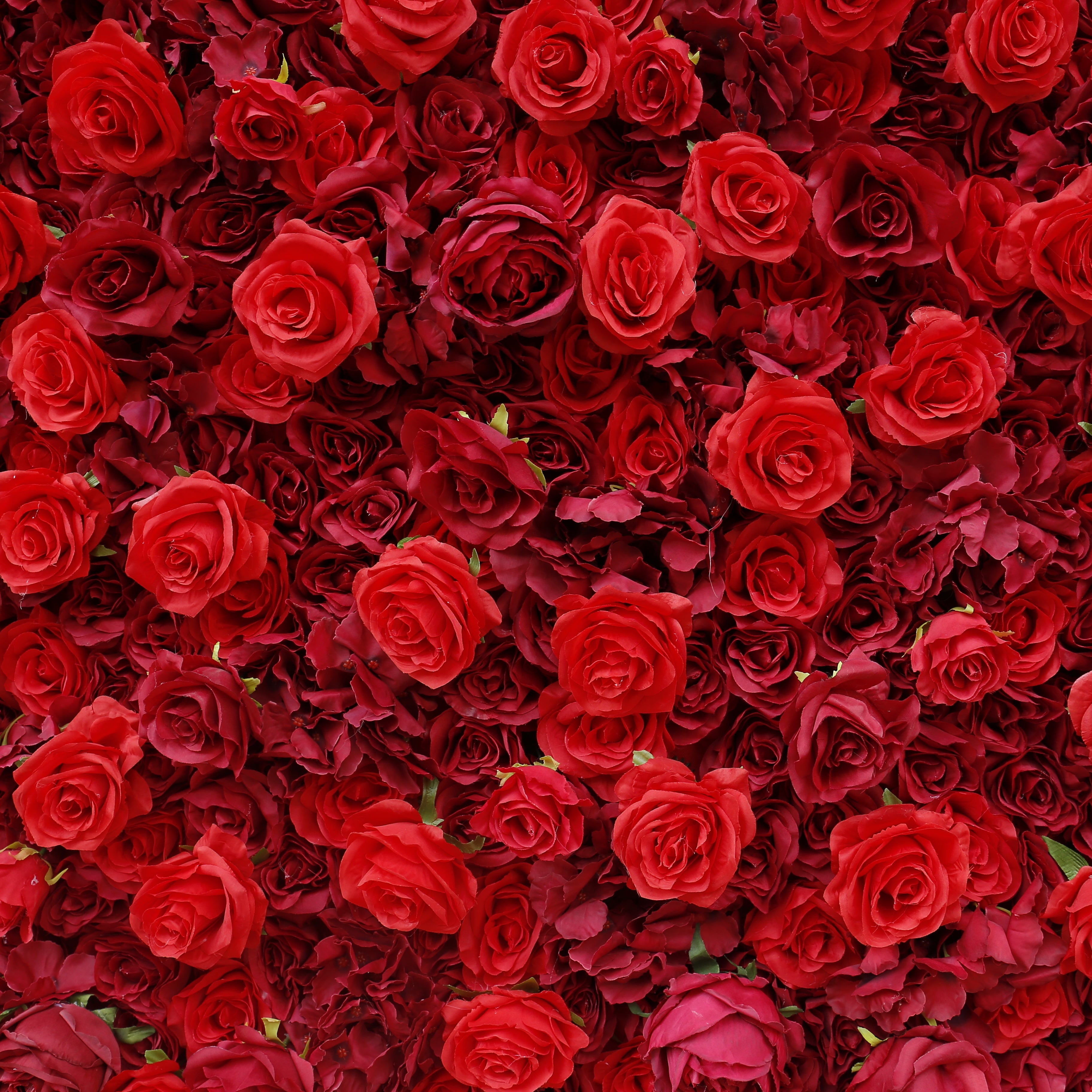 3D Full Red Rose Fabric Wedding Backdrop Rolling Up Flower Wall ACFW-050