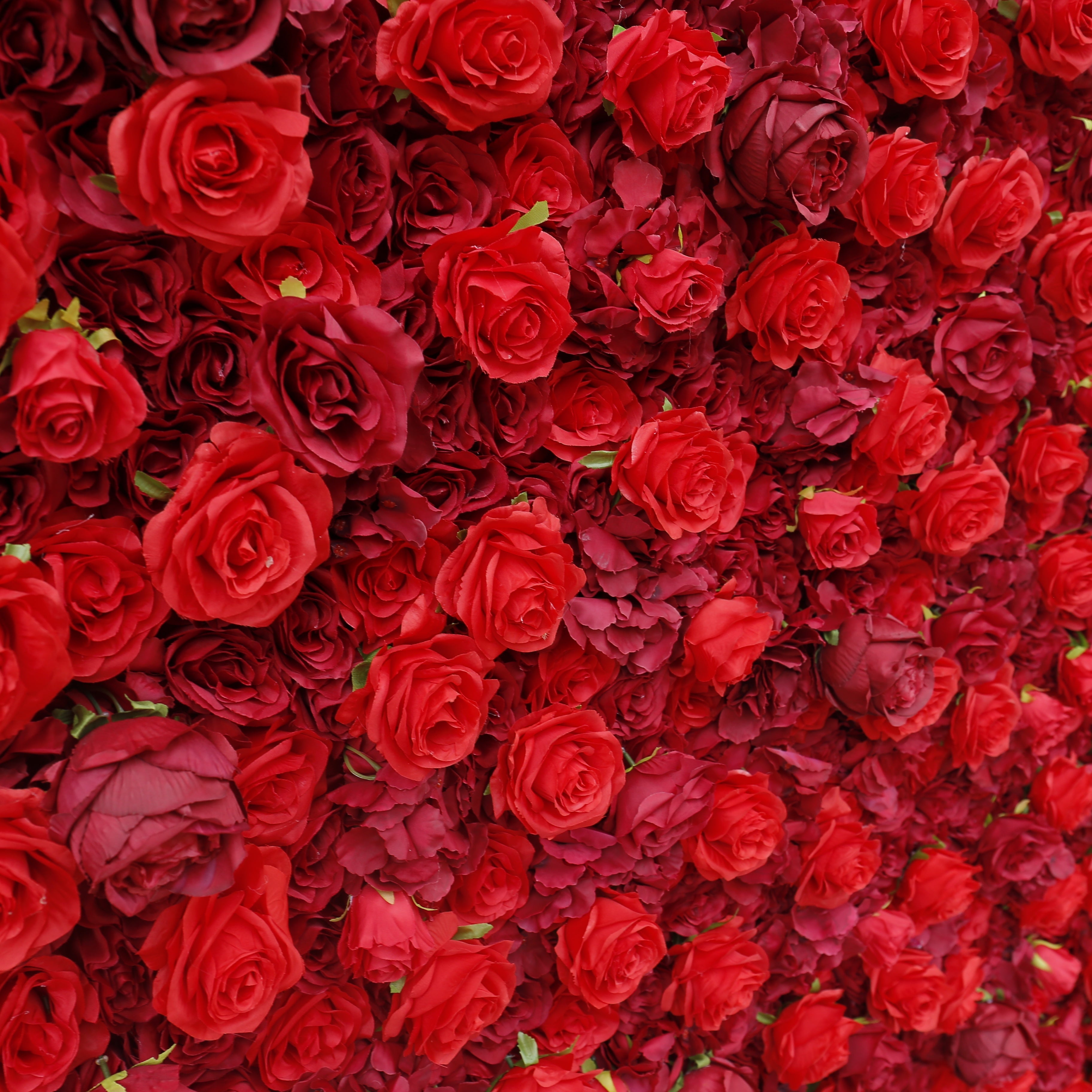 3D Full Red Rose Fabric Wedding Backdrop Rolling Up Flower Wall ACFW-050