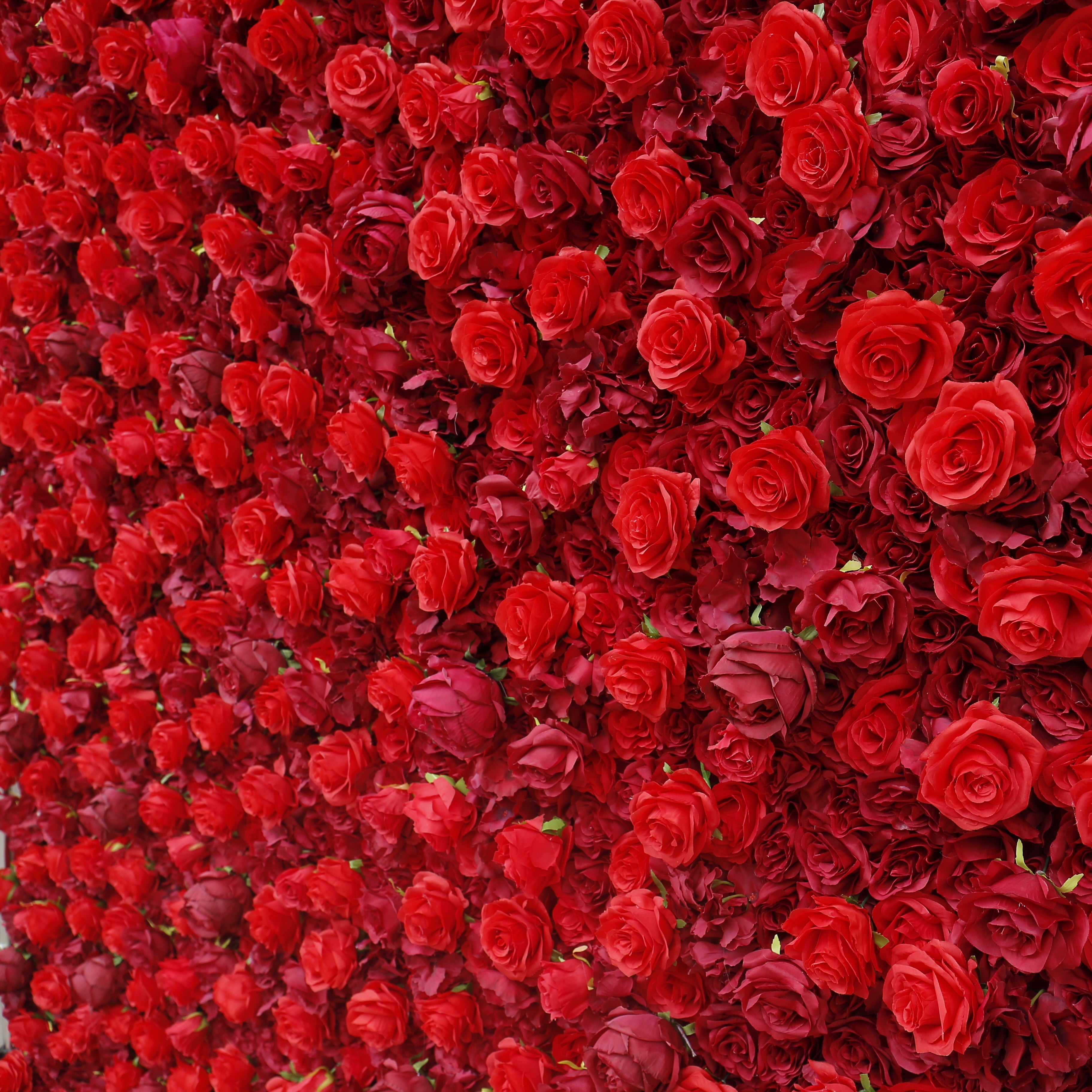 3D Full Red Rose Fabric Wedding Backdrop Rolling Up Flower Wall ACFW-050