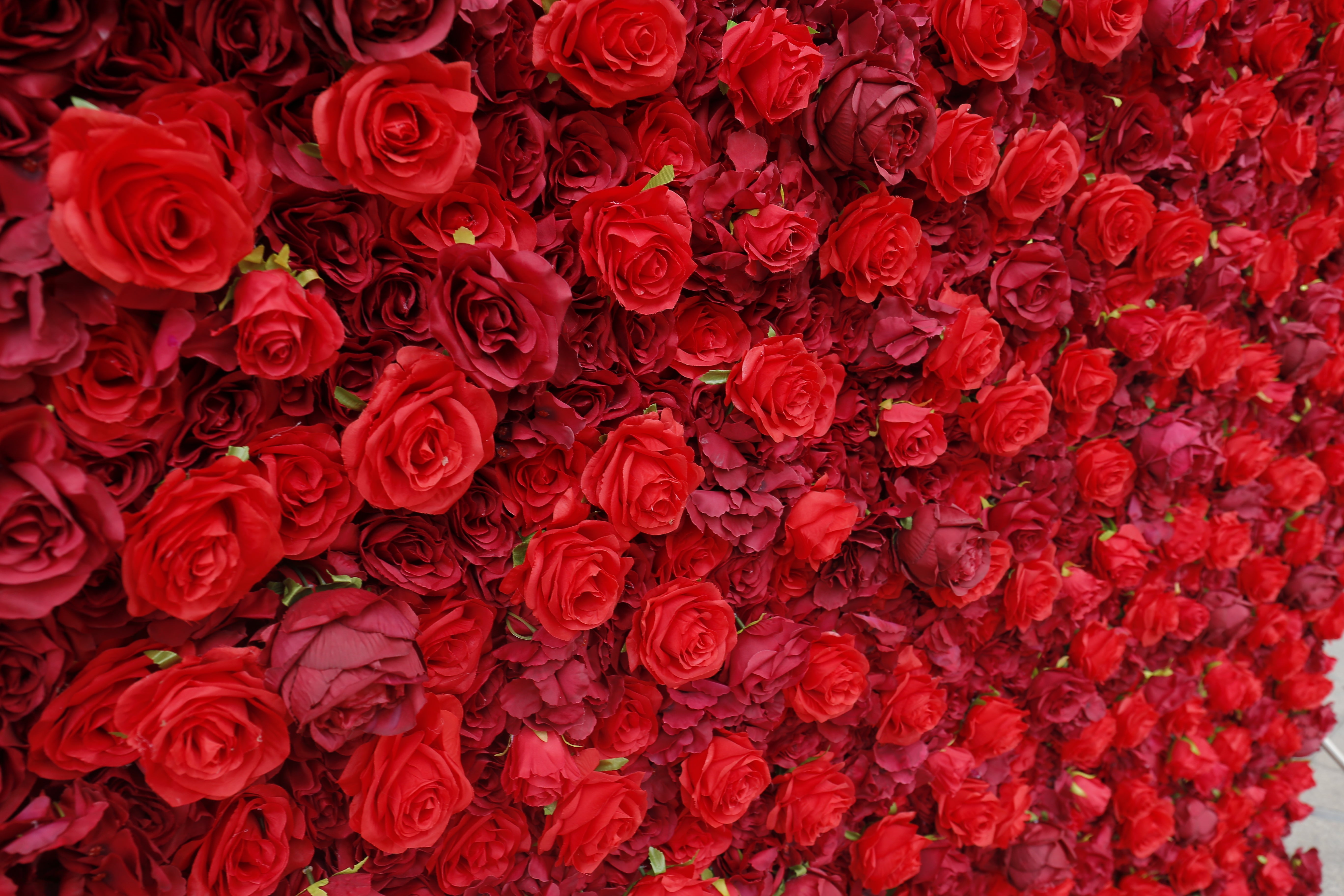 3D Full Red Rose Fabric Wedding Backdrop Rolling Up Flower Wall ACFW-050