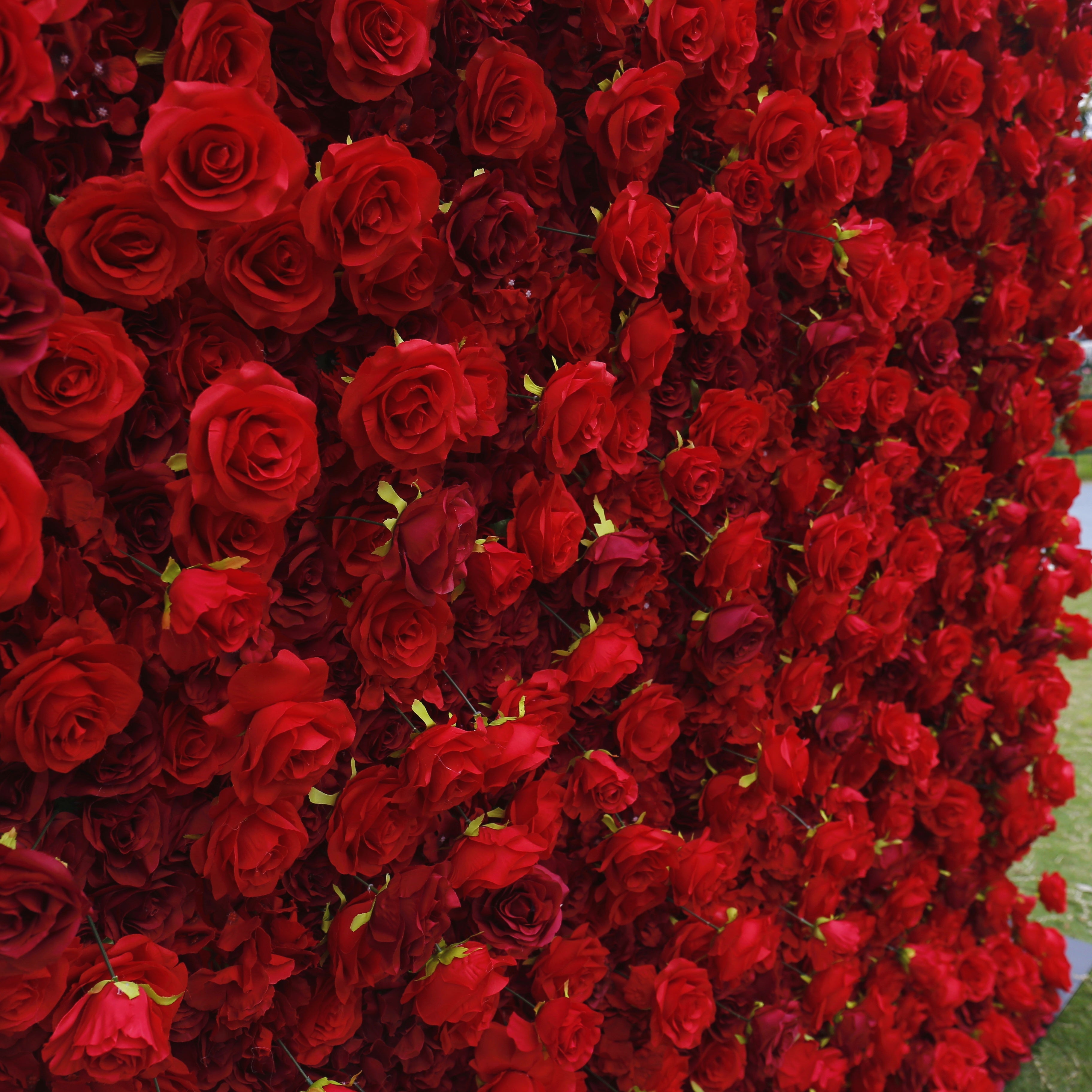 Full Red Fabric Roses Wedding Backdrop Roll Up Flower Wall ACFW-060