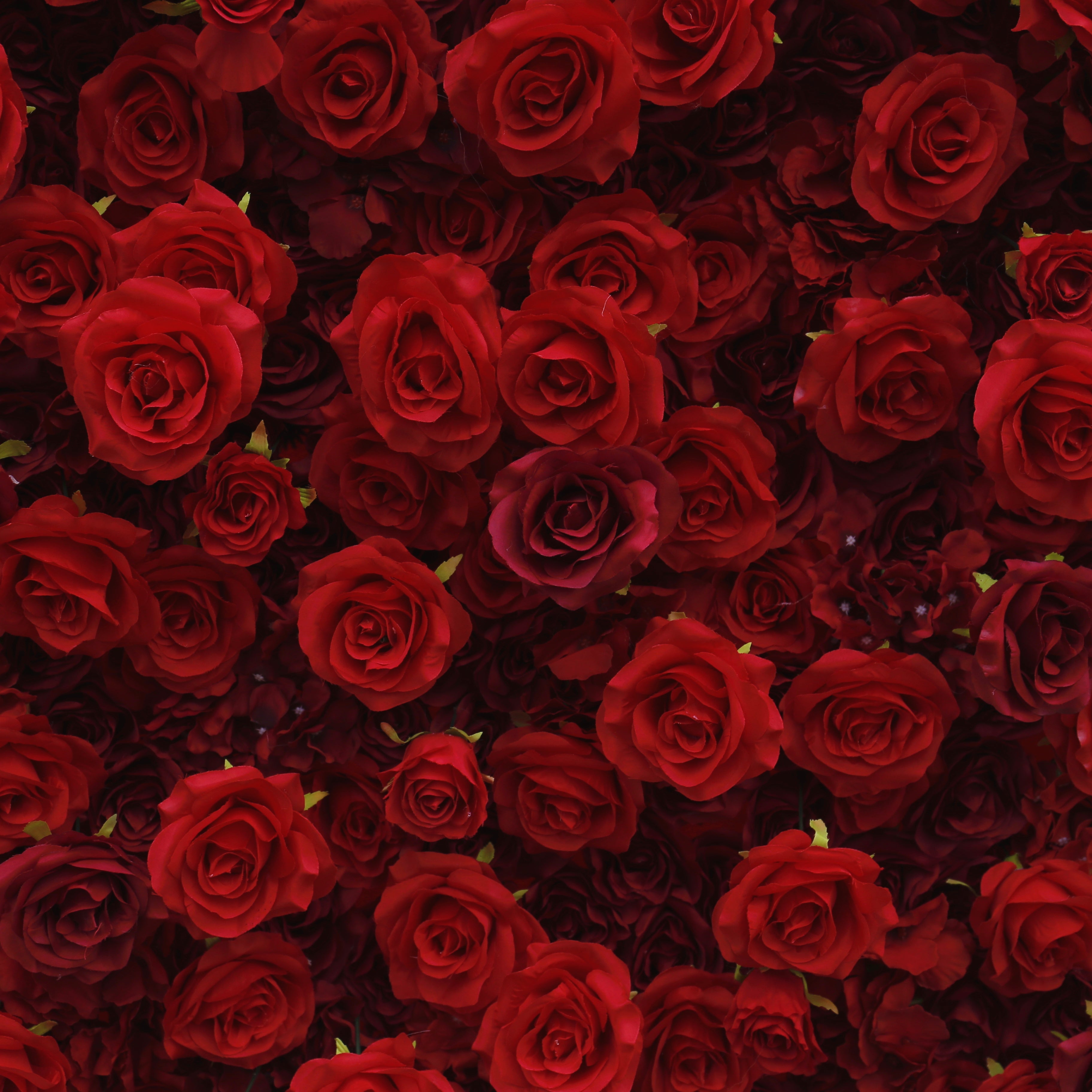 Full Red Fabric Roses Wedding Backdrop Roll Up Flower Wall ACFW-060