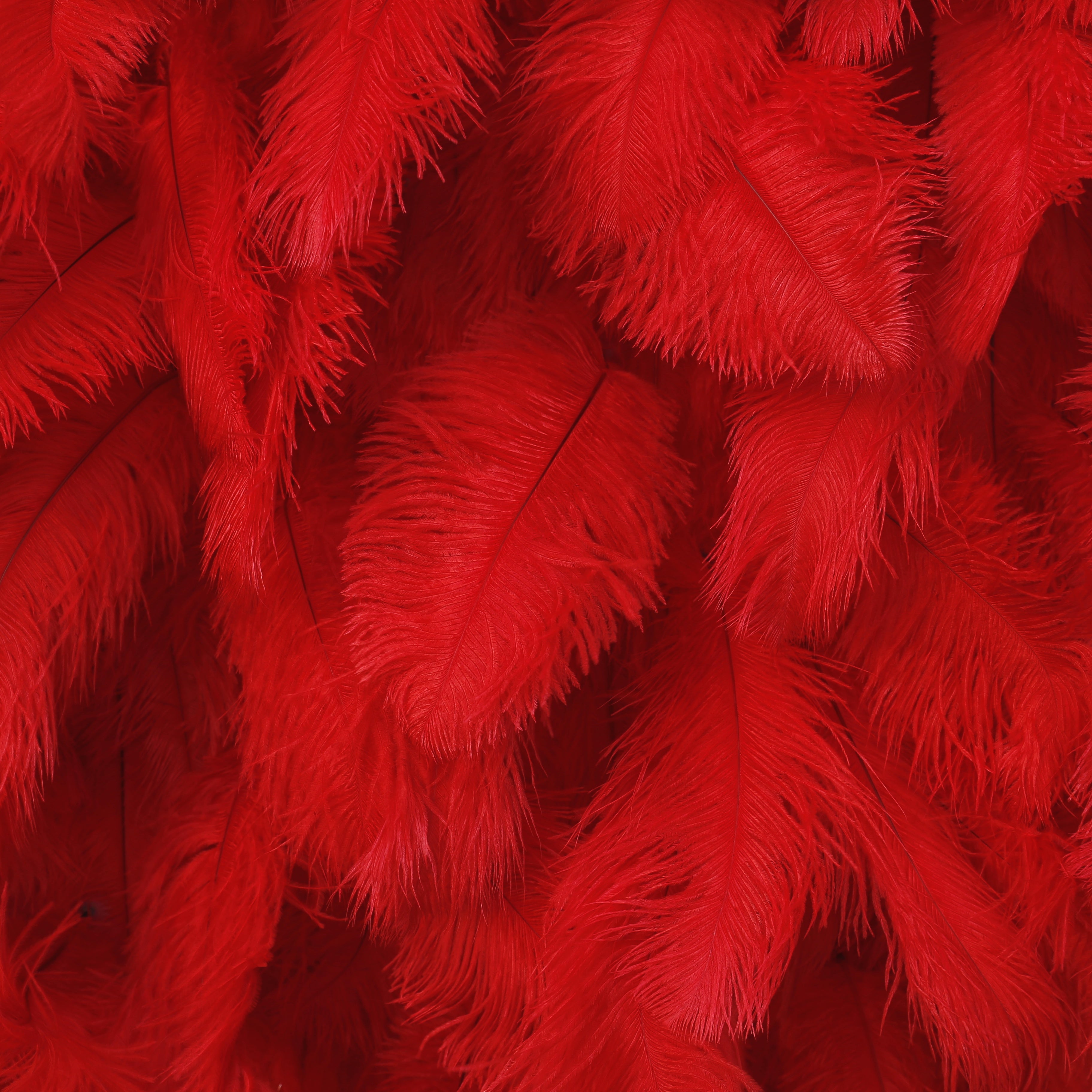 Hot Red Feather Hanging Flower Wall Party Events Backdrop ACFW-069