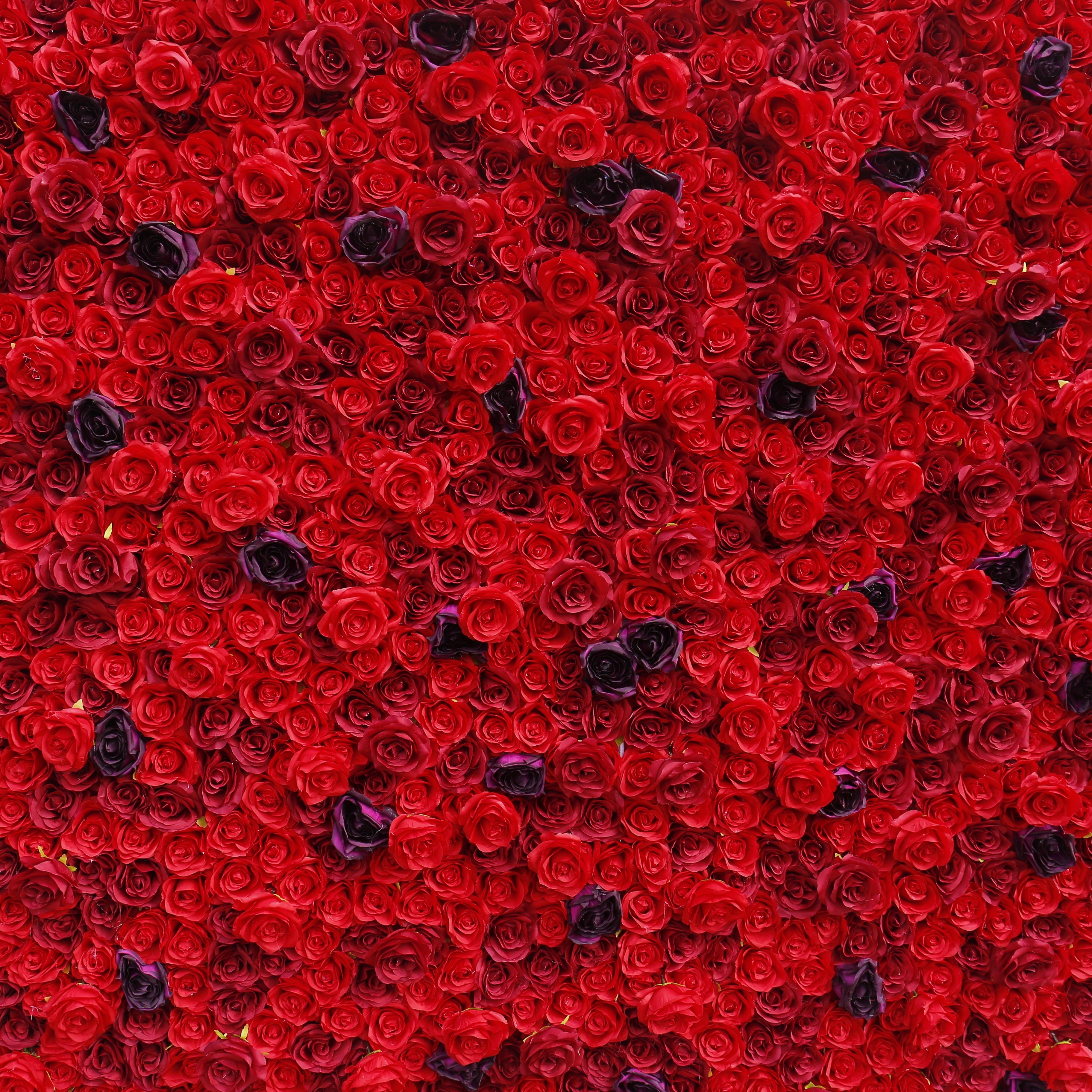 5D Full Red Fabric Rose Wedding Artificial Roll up Flower Wall ACFW-084