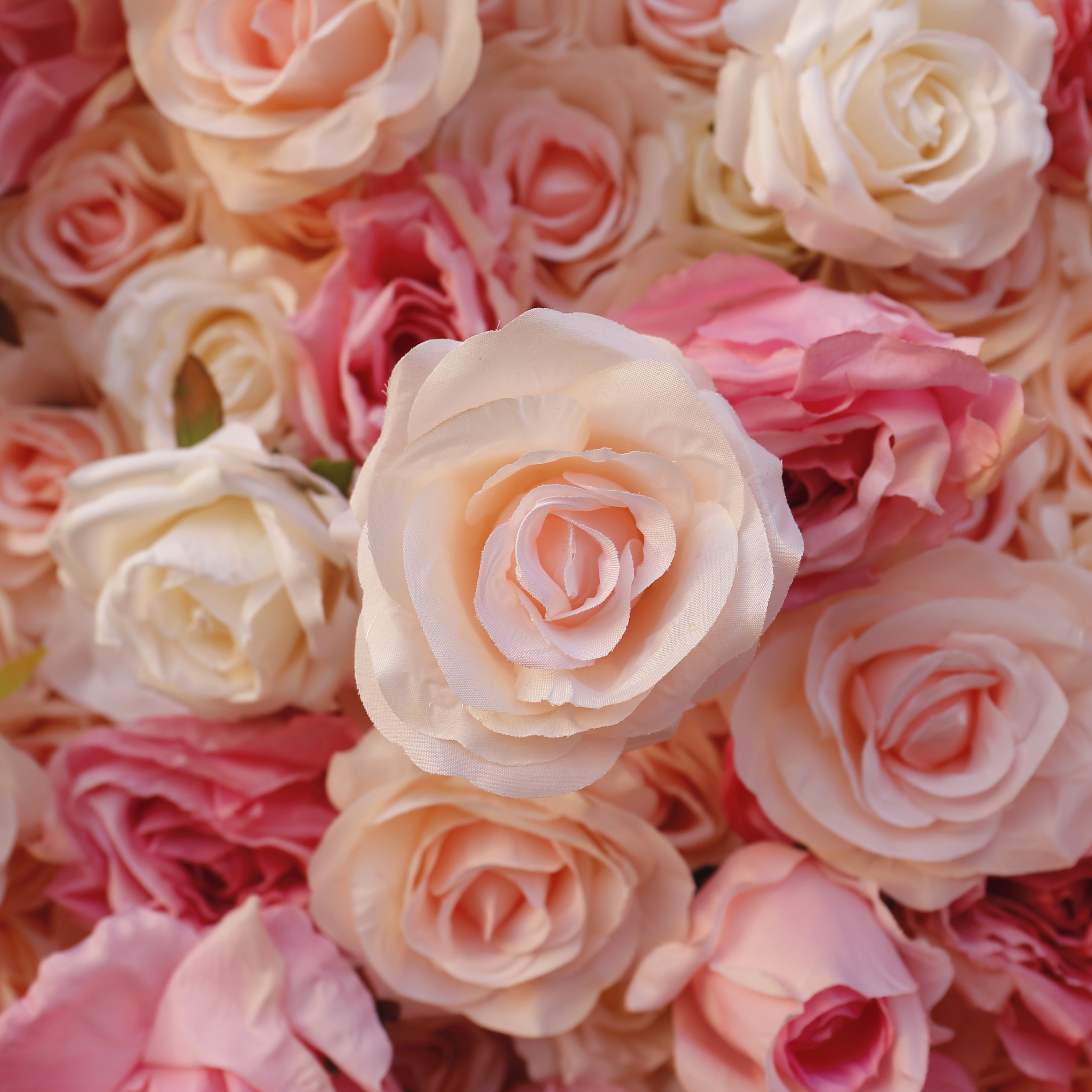 5D Ombre Pink White Fabric Rose Wedding Roll Up Flower Wall ACFW-094