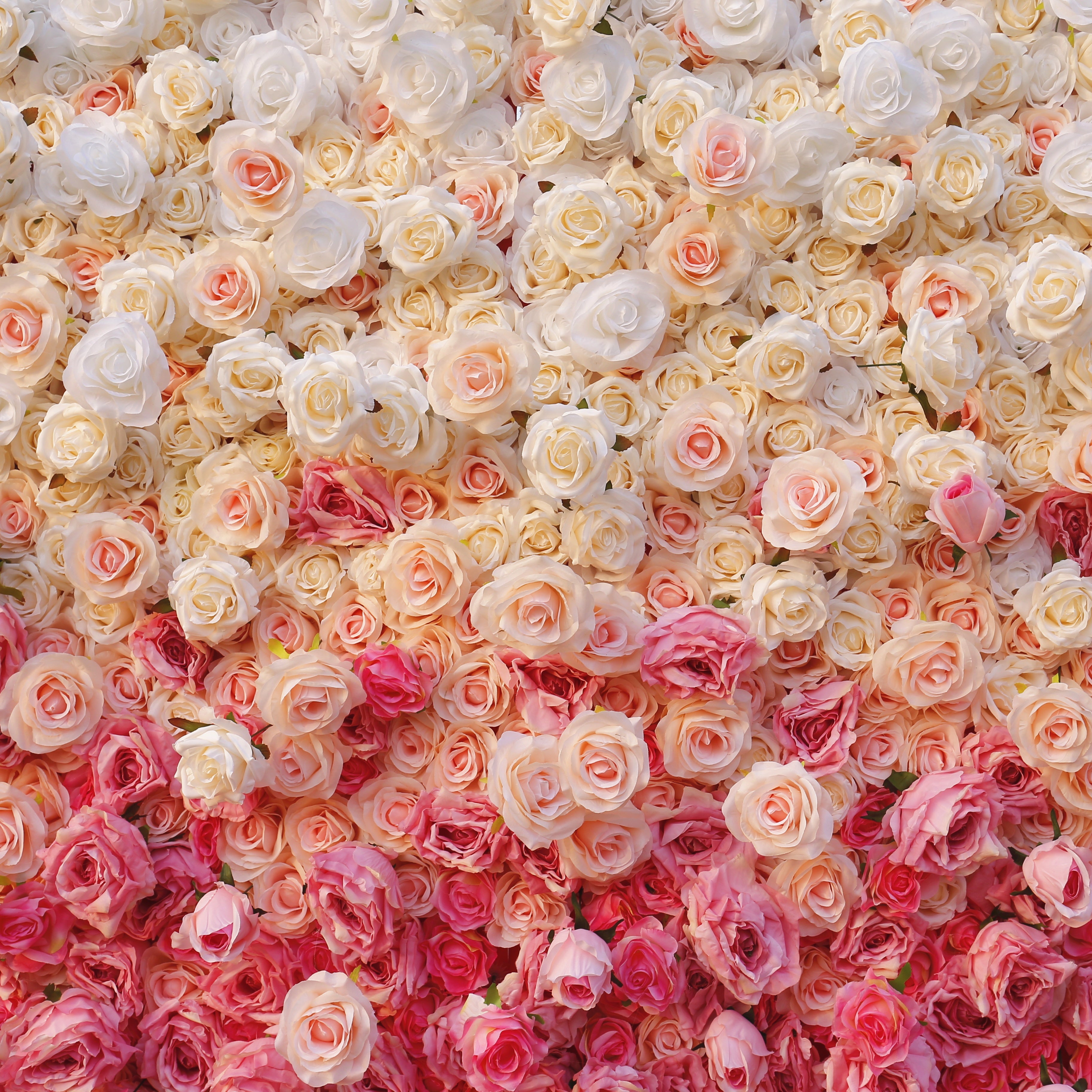 5D Ombre Pink White Fabric Rose Wedding Roll Up Flower Wall ACFW-094