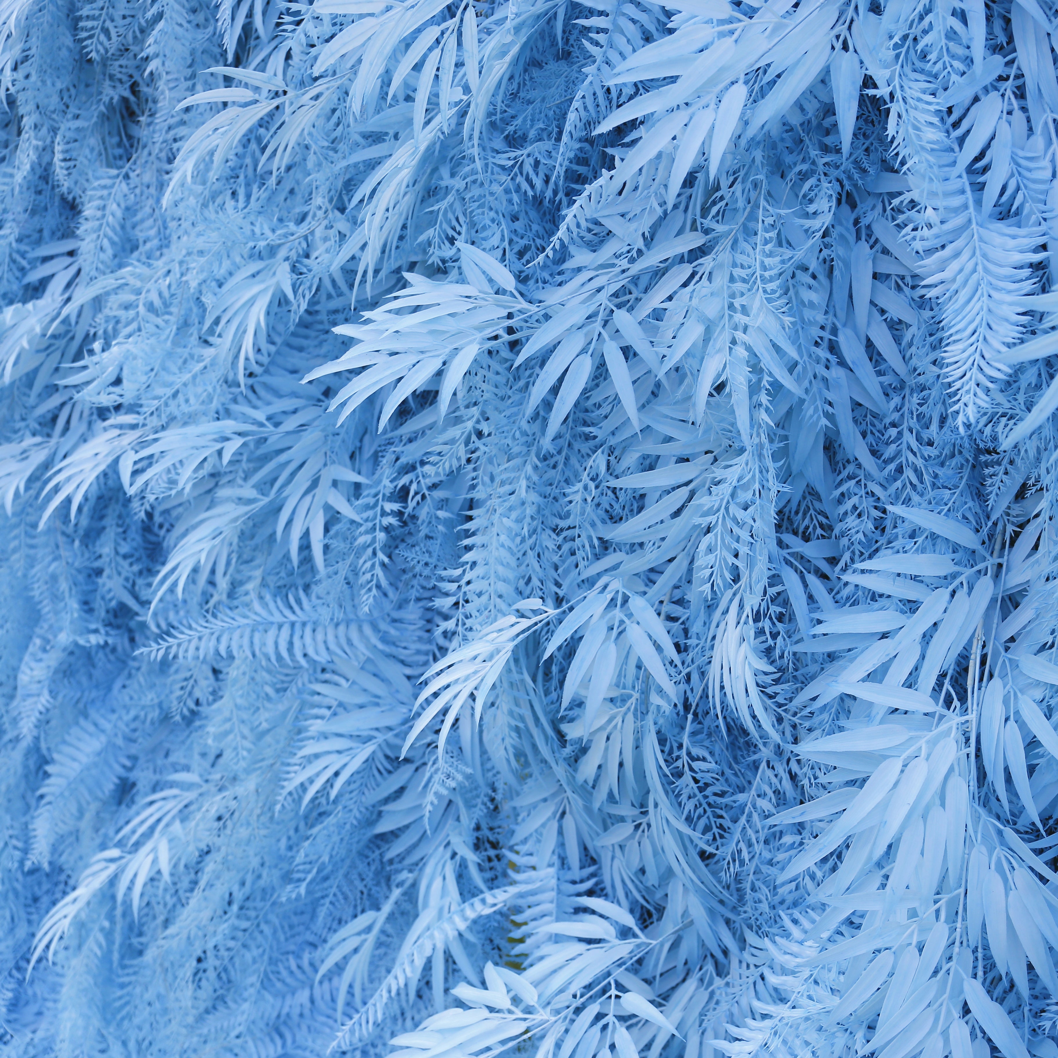 Artificial Pink Blue Pampas Wall Roll Up Hanging Backdrop Event Decor ACFW-111