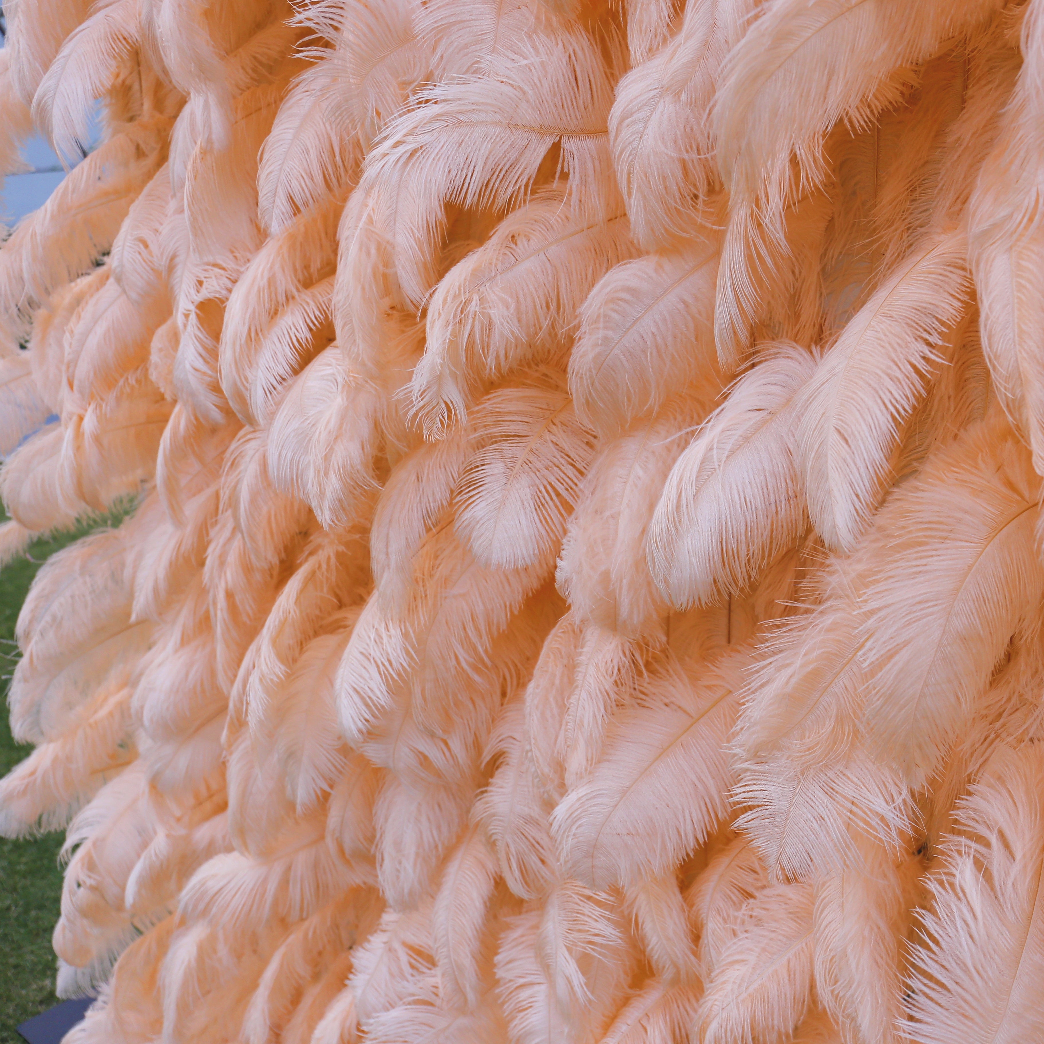 Pink Orange Artificial Feather Backdrop Flower Wall for Party Decor ACFW-116