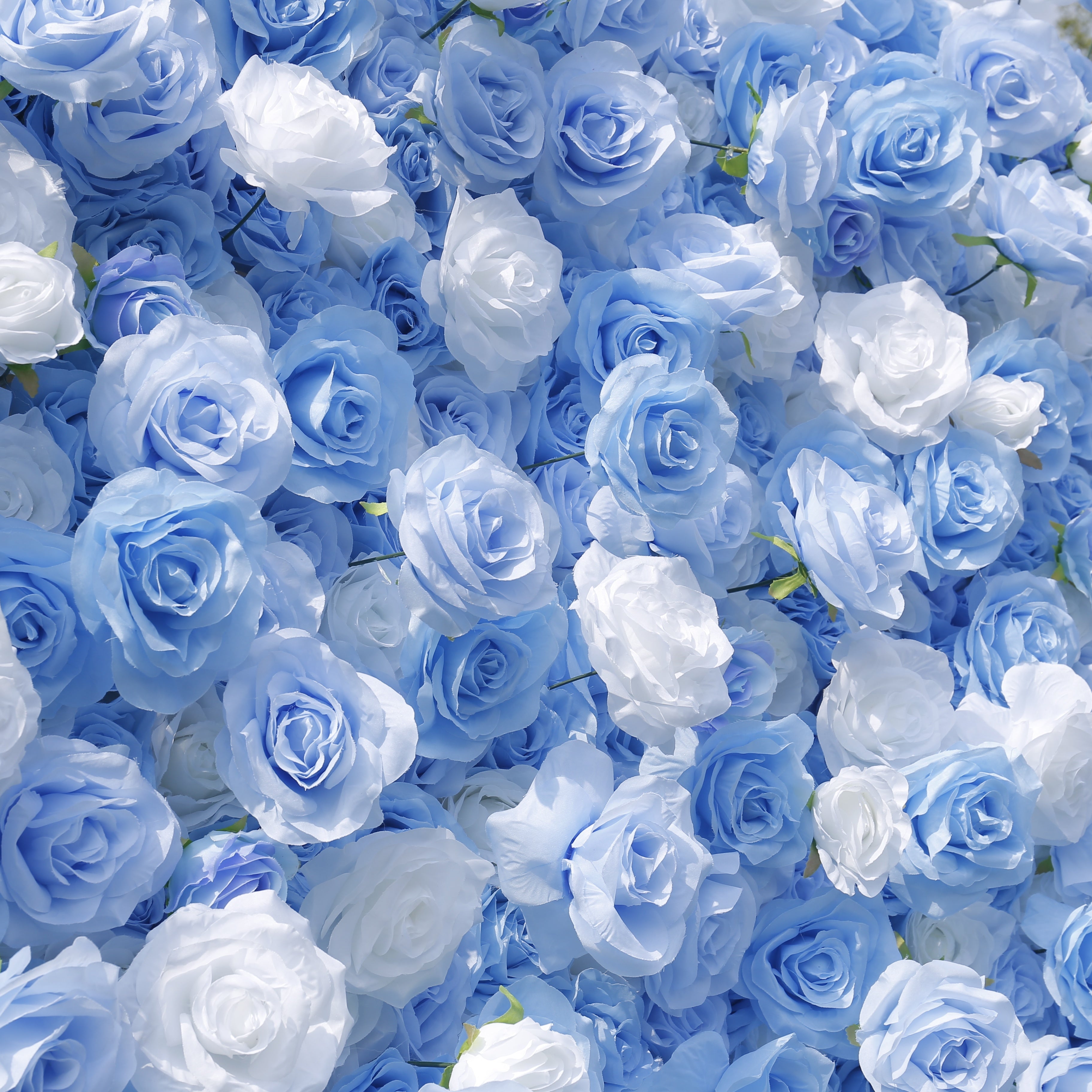 5D Blue & White Silk Roses Rolling Up Artificial Flower Wall Backdrop ACFW-123